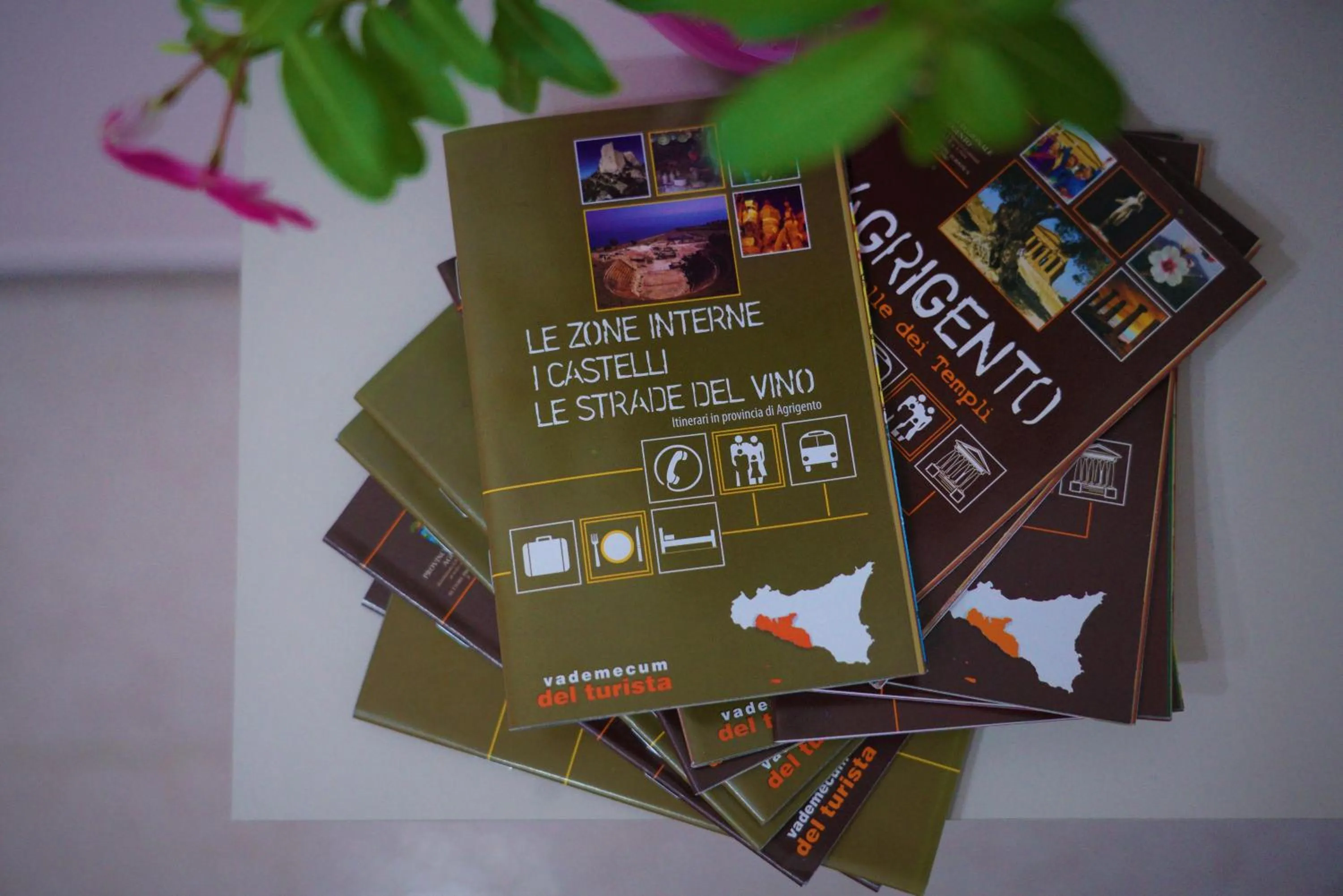 B&B Nodo Francescano