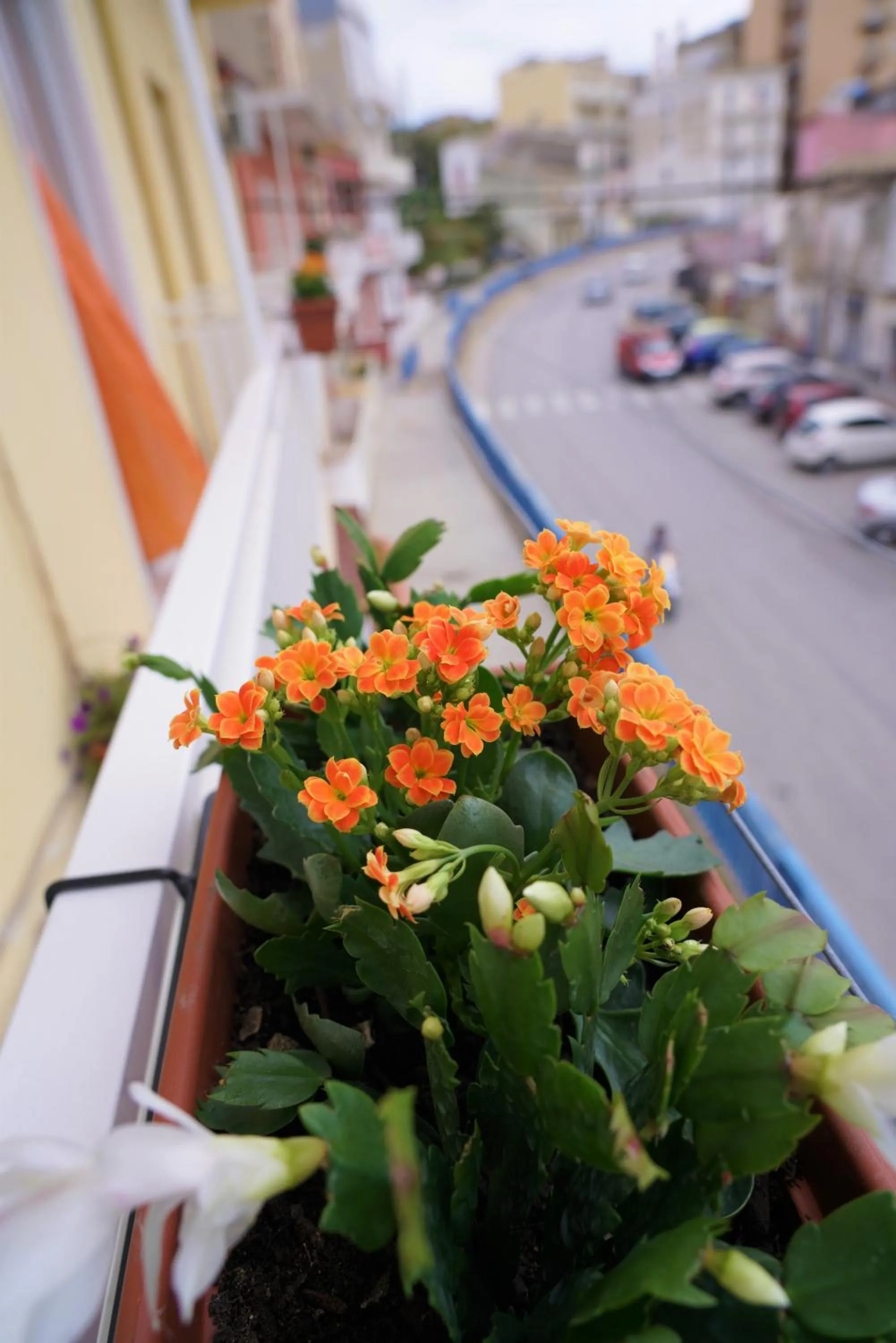 City view in B&B Nodo Francescano