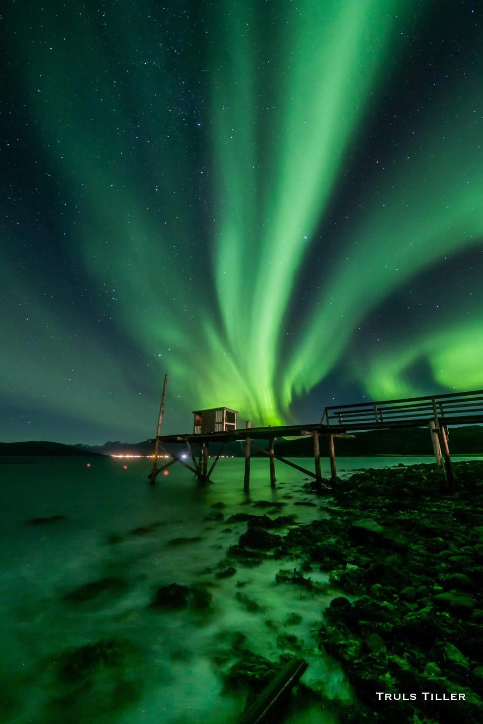 Natural landscape in Buvik Sea Lodge Apartments