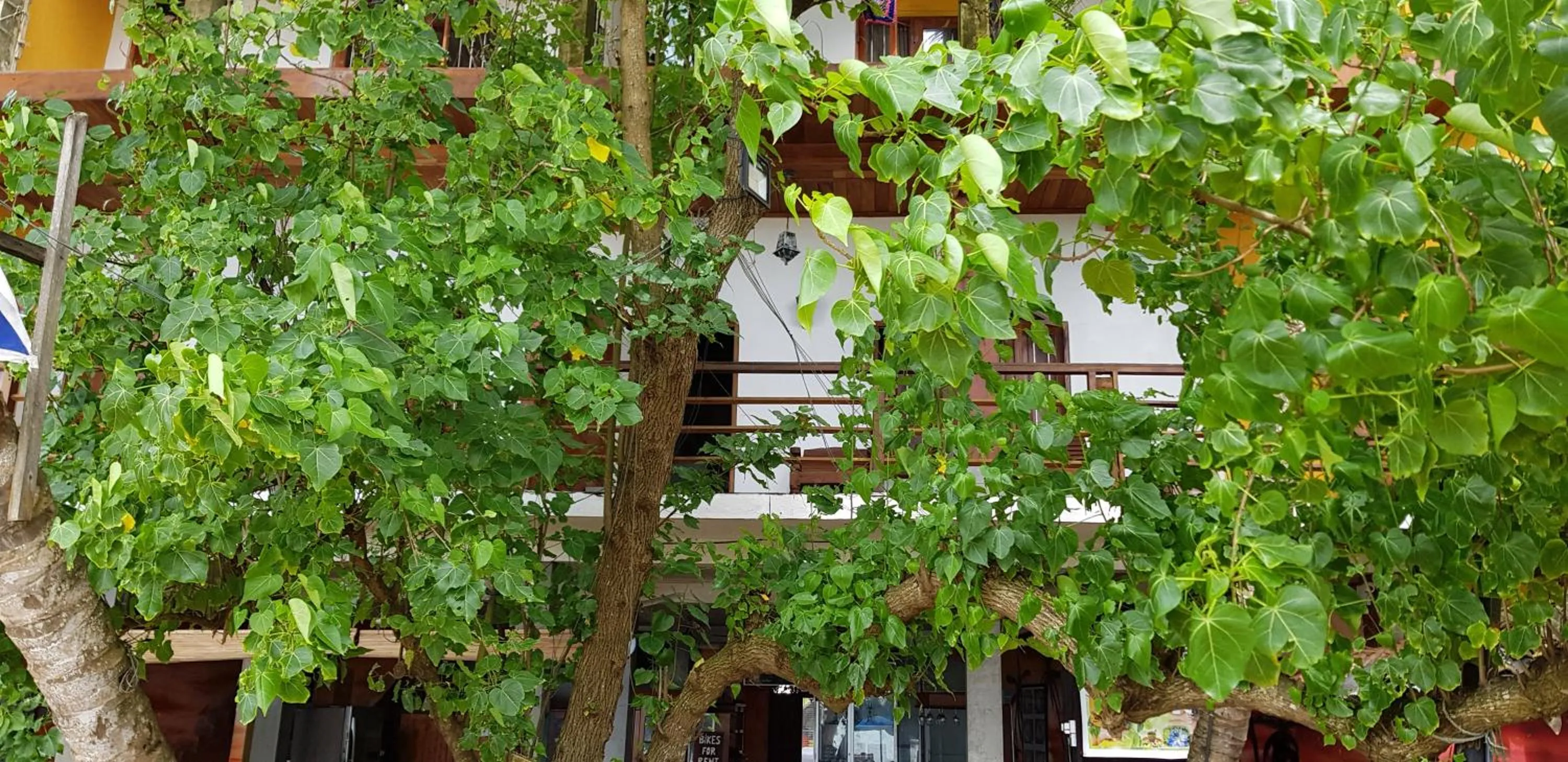 Facade/entrance in Sunset Colony Beach Resort
