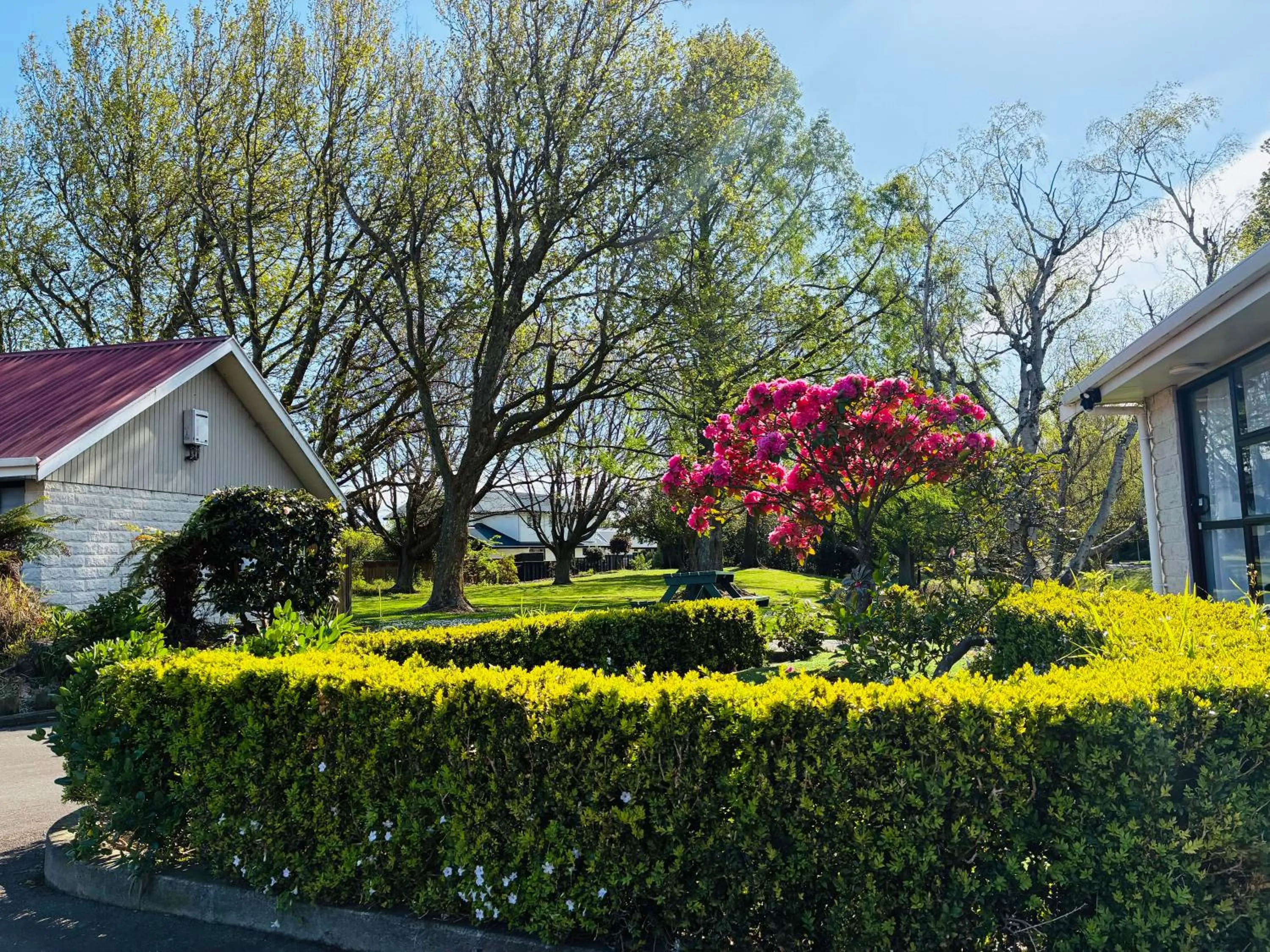 Garden view in Awatea Park Motel