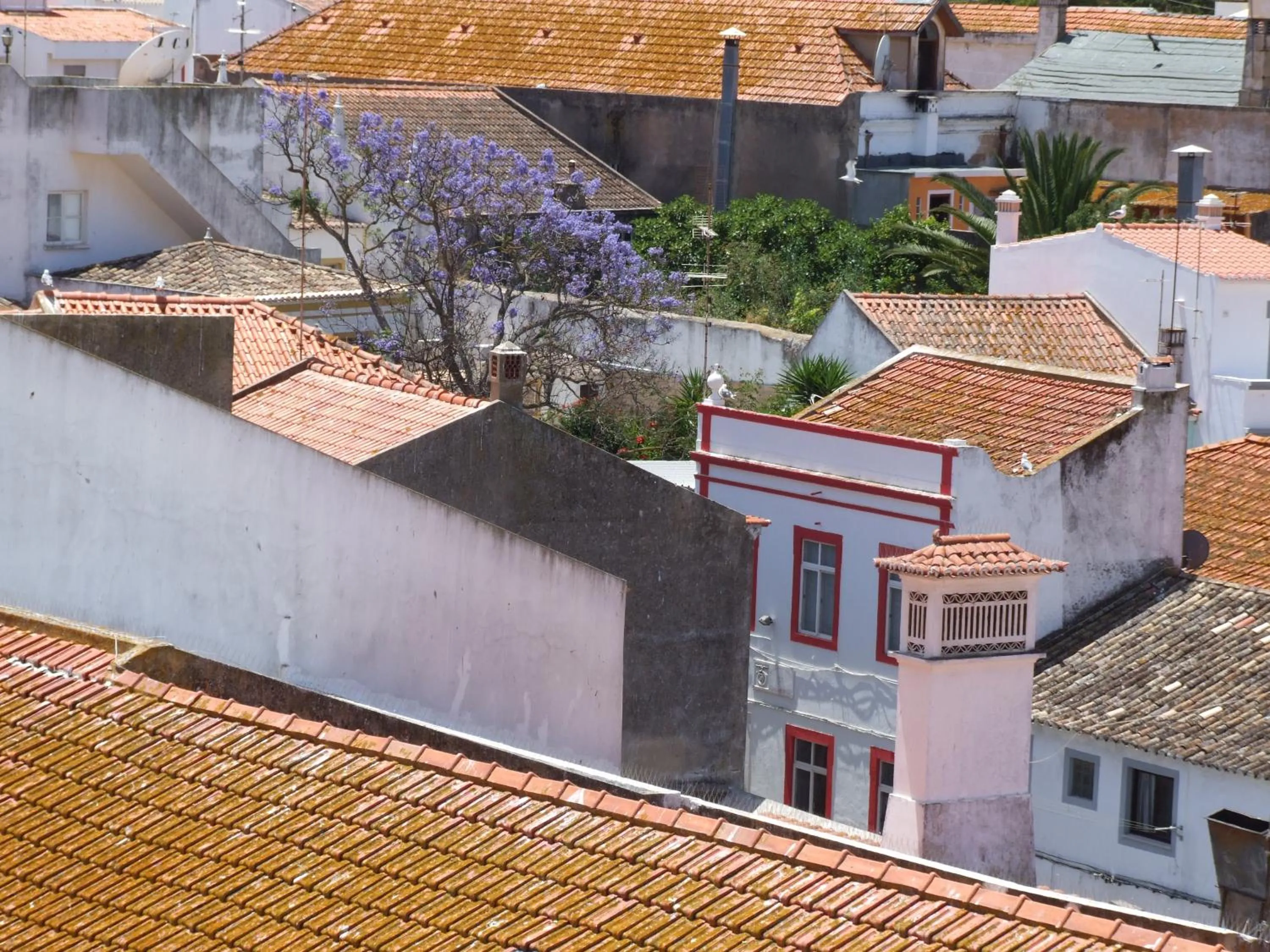 View (from property/room) in Hotel Riomar