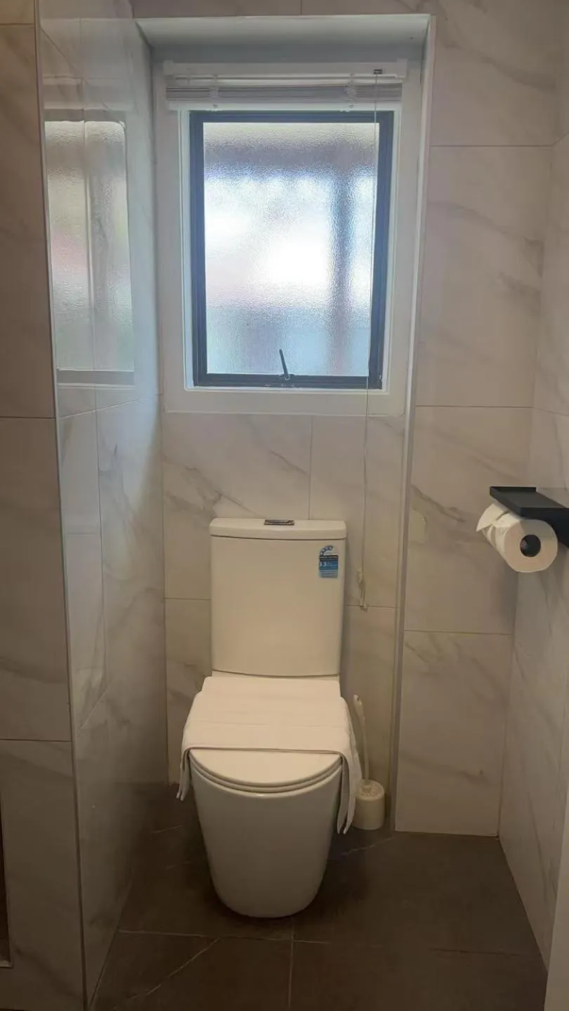 Toilet in Pure Motel
