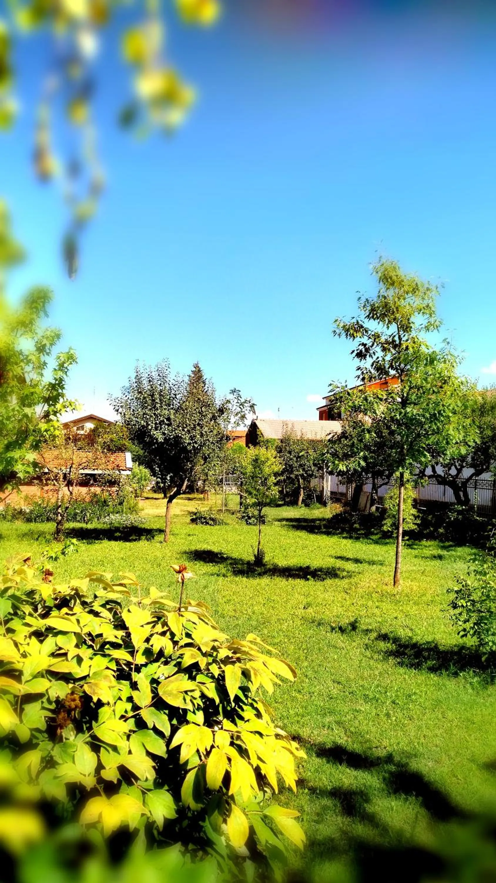 Garden view in B&B "Madama Granèt"