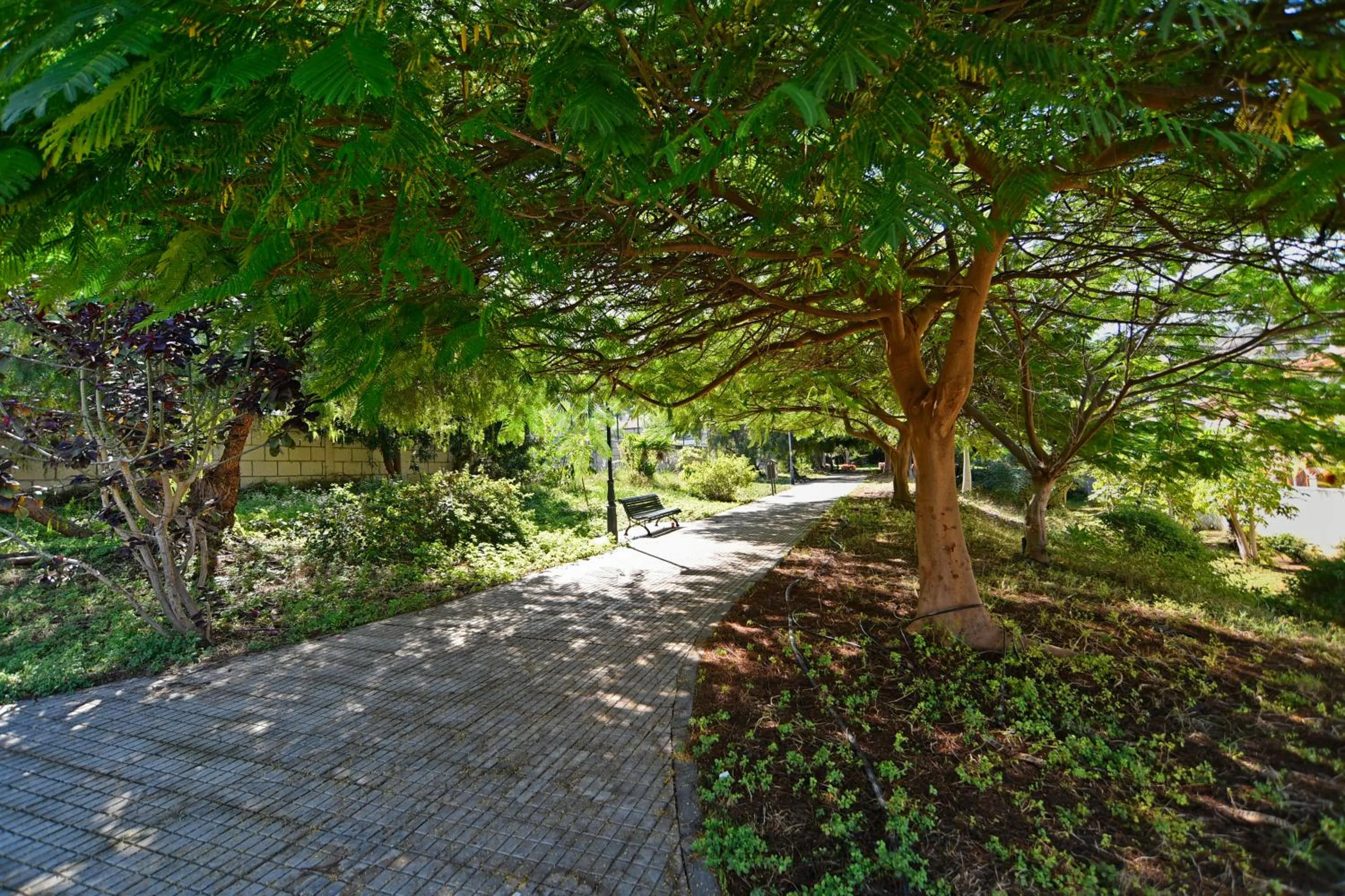 Garden in Apartamentos Lavanda