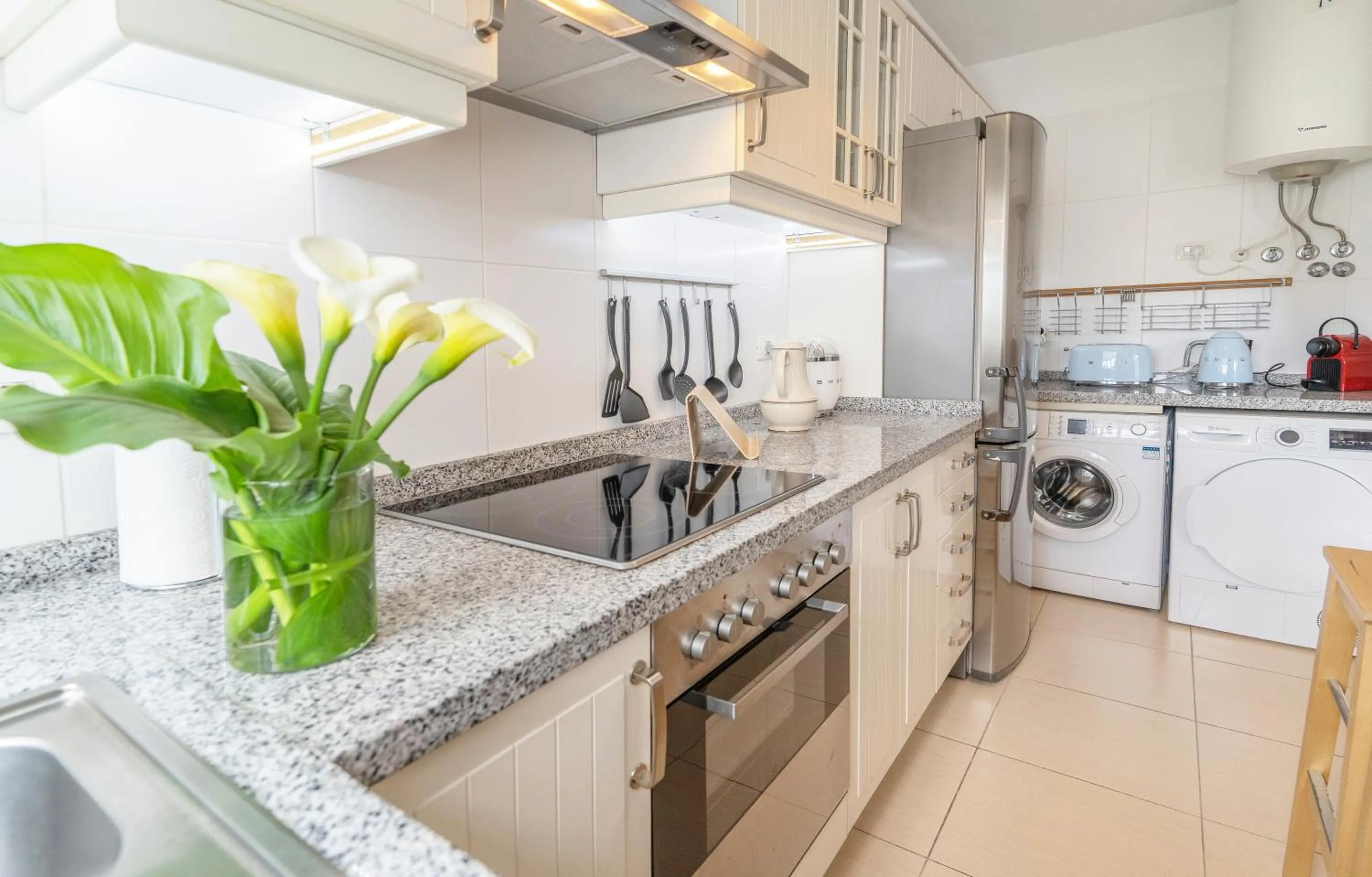 dishwasher in Apartamentos Lavanda