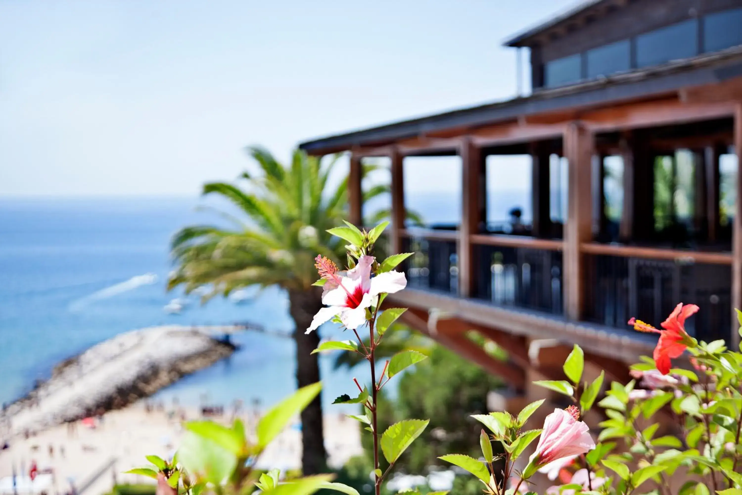 View (from property/room) in Hotel do Mar View (from property/room) in Hotel do Mar