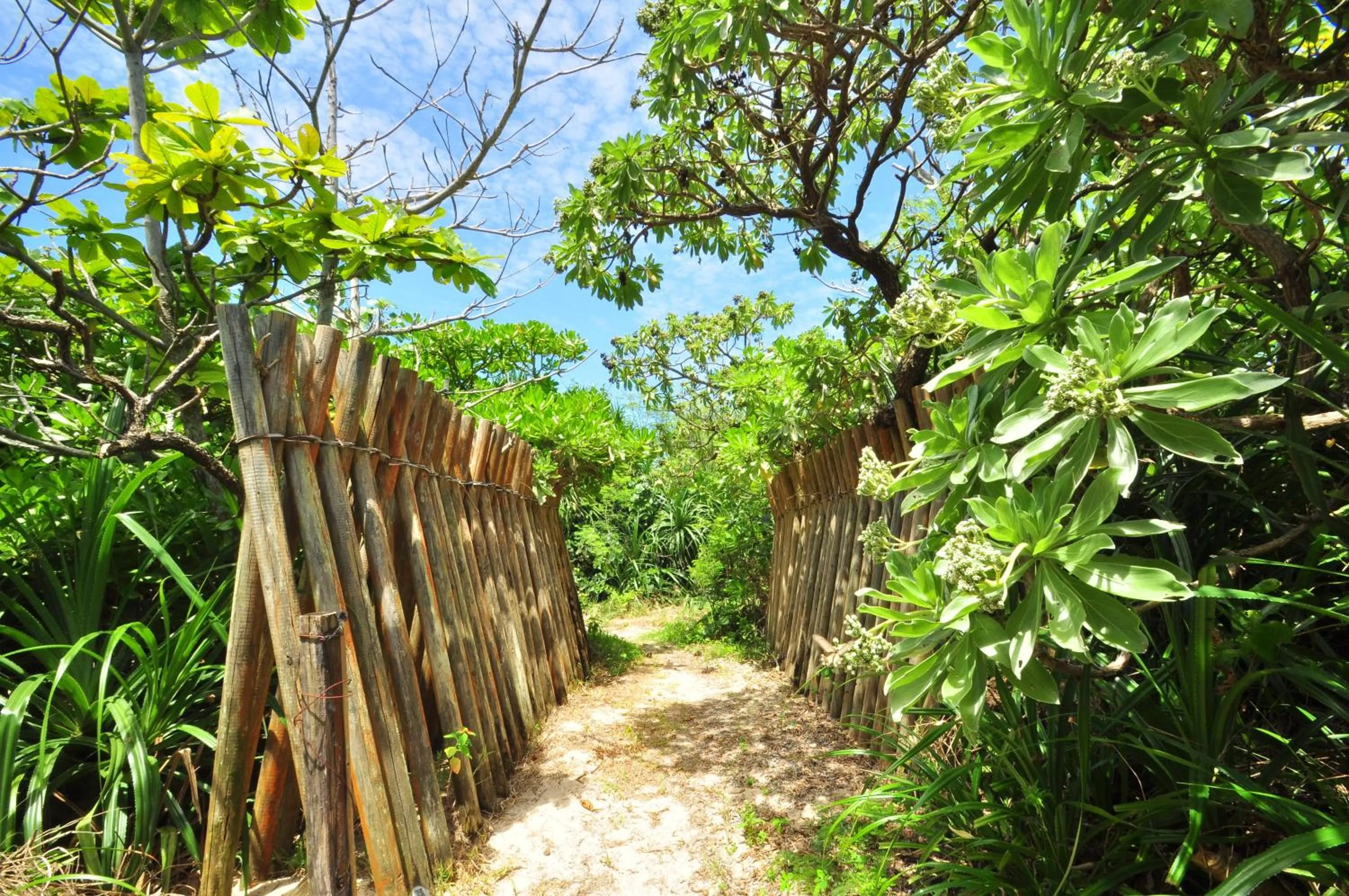 Nearby landmark in Marine Lodge Marea