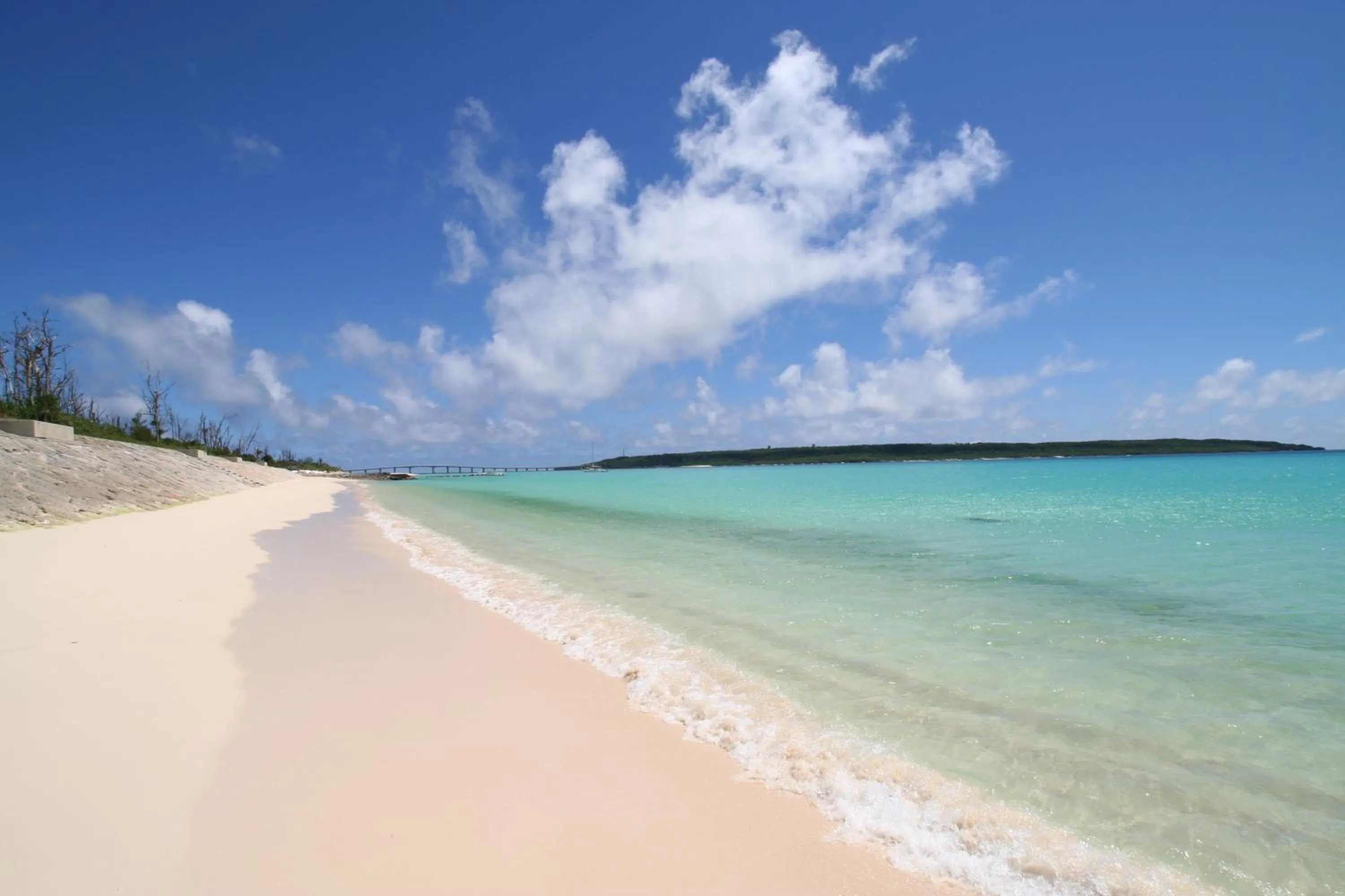 Area and facilities in Marine Lodge Marea