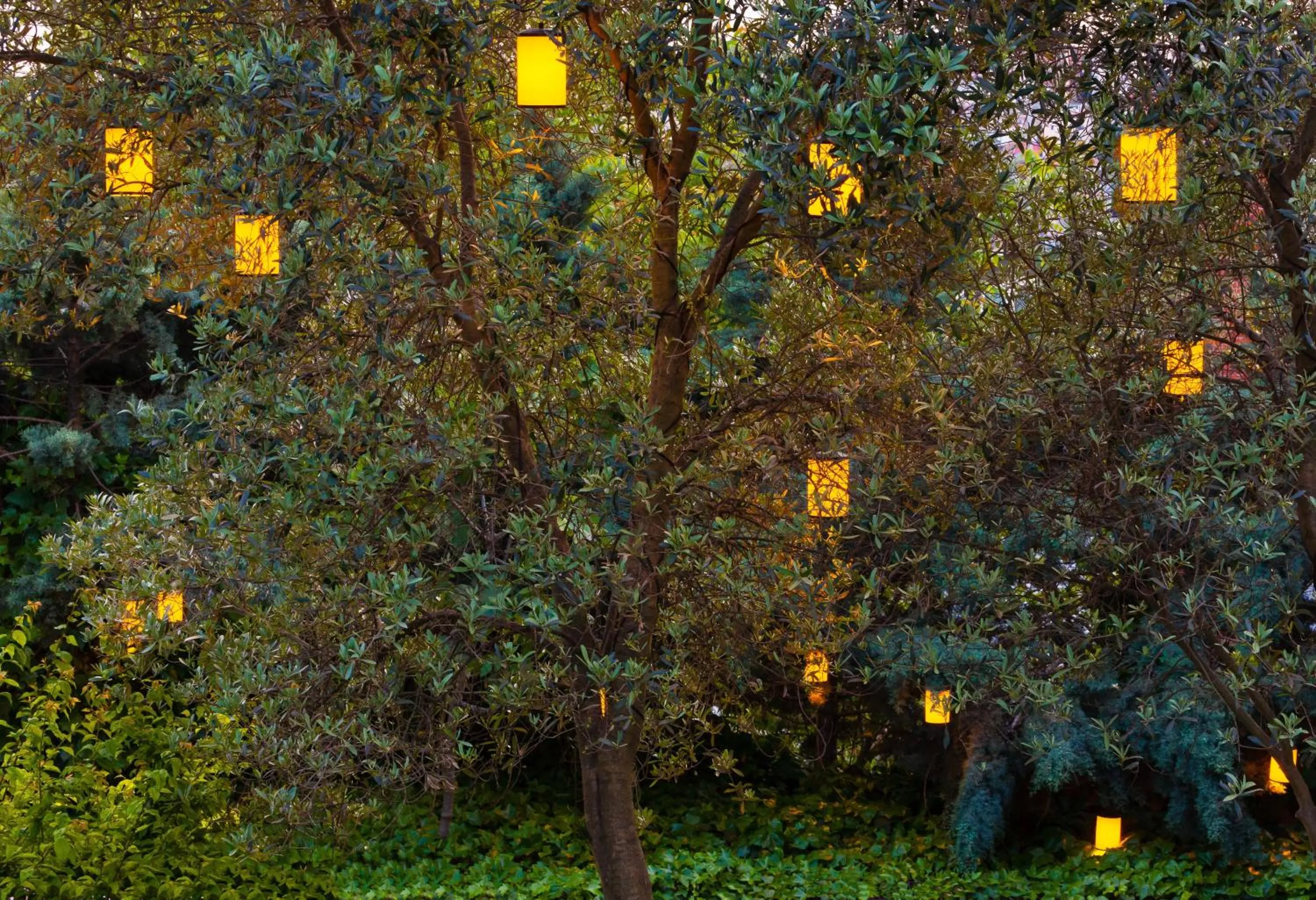 Garden in İstanbul Bosphorus Hotel Symbola