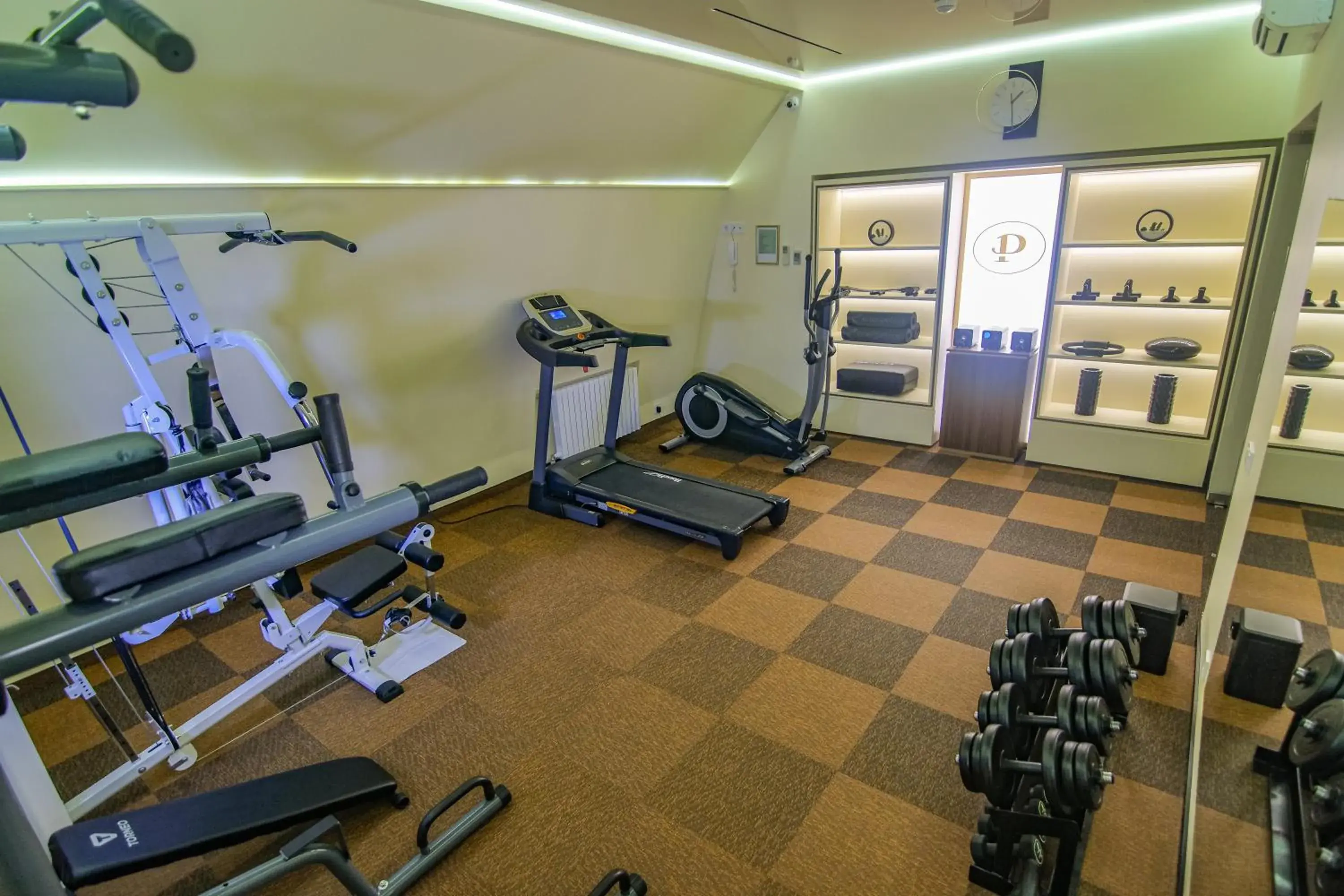 Fitness centre/facilities in Premier Hotel Palazzo Fitness centre/facilities in Premier Hotel Palazzo