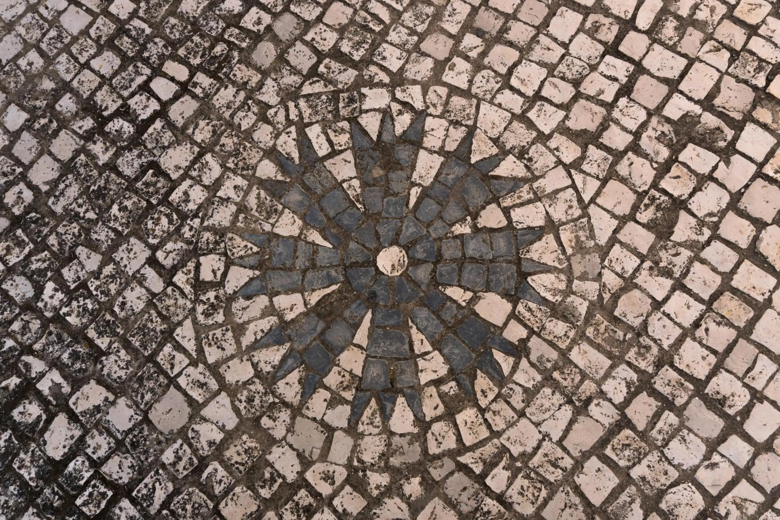 Garden in Hotel Estrela Da Idanha