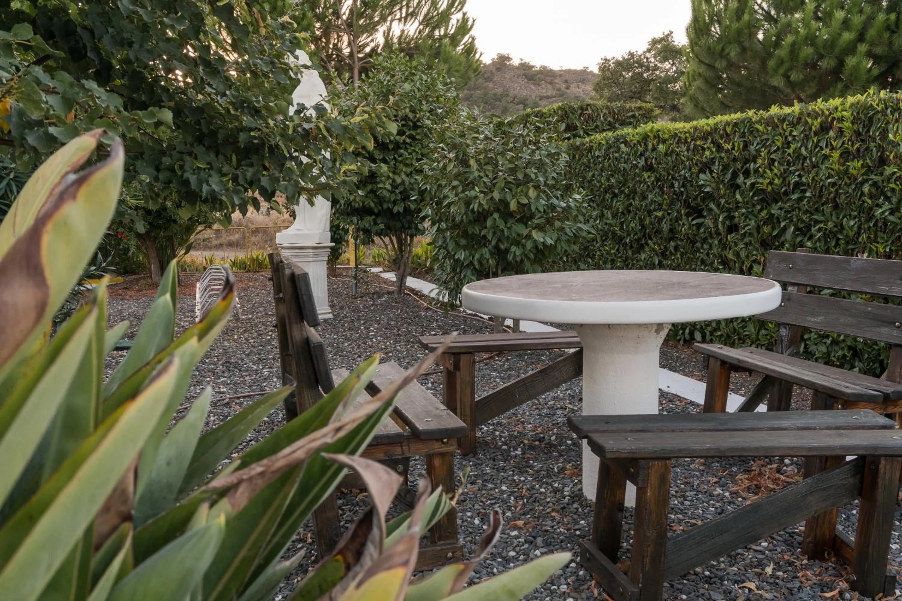 Garden in Hotel Estrela Da Idanha