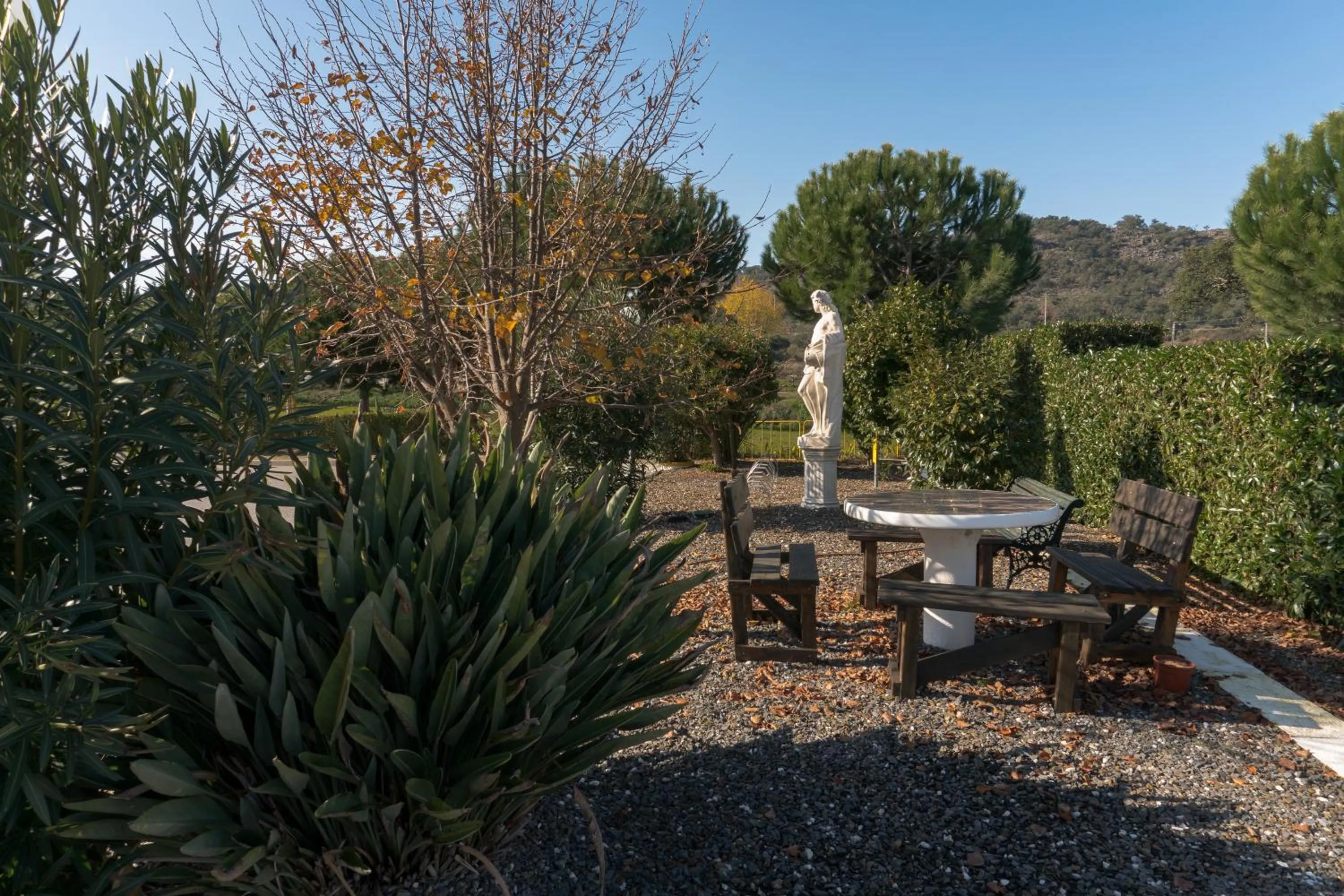 Garden in Hotel Estrela Da Idanha