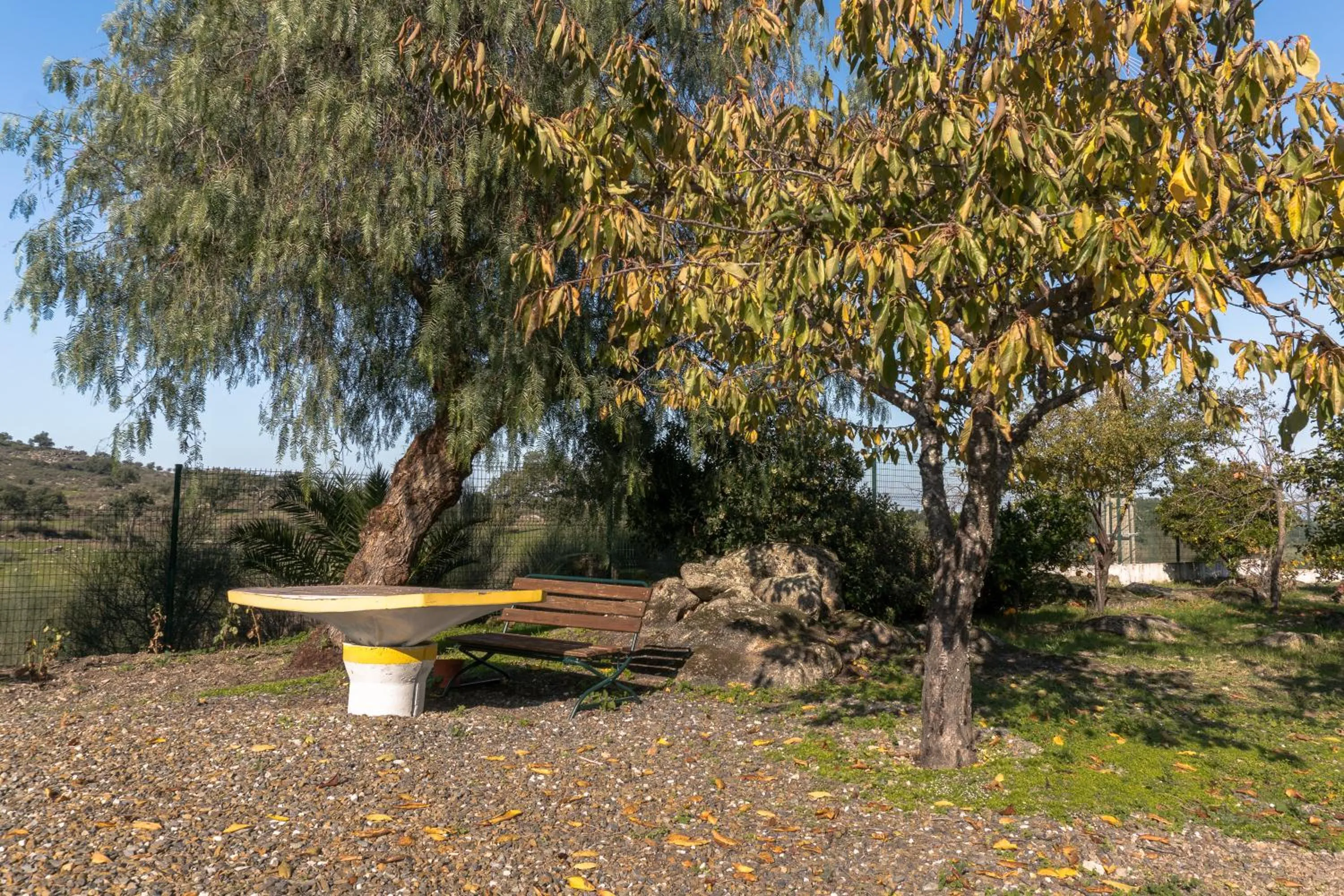 Garden in Hotel Estrela Da Idanha