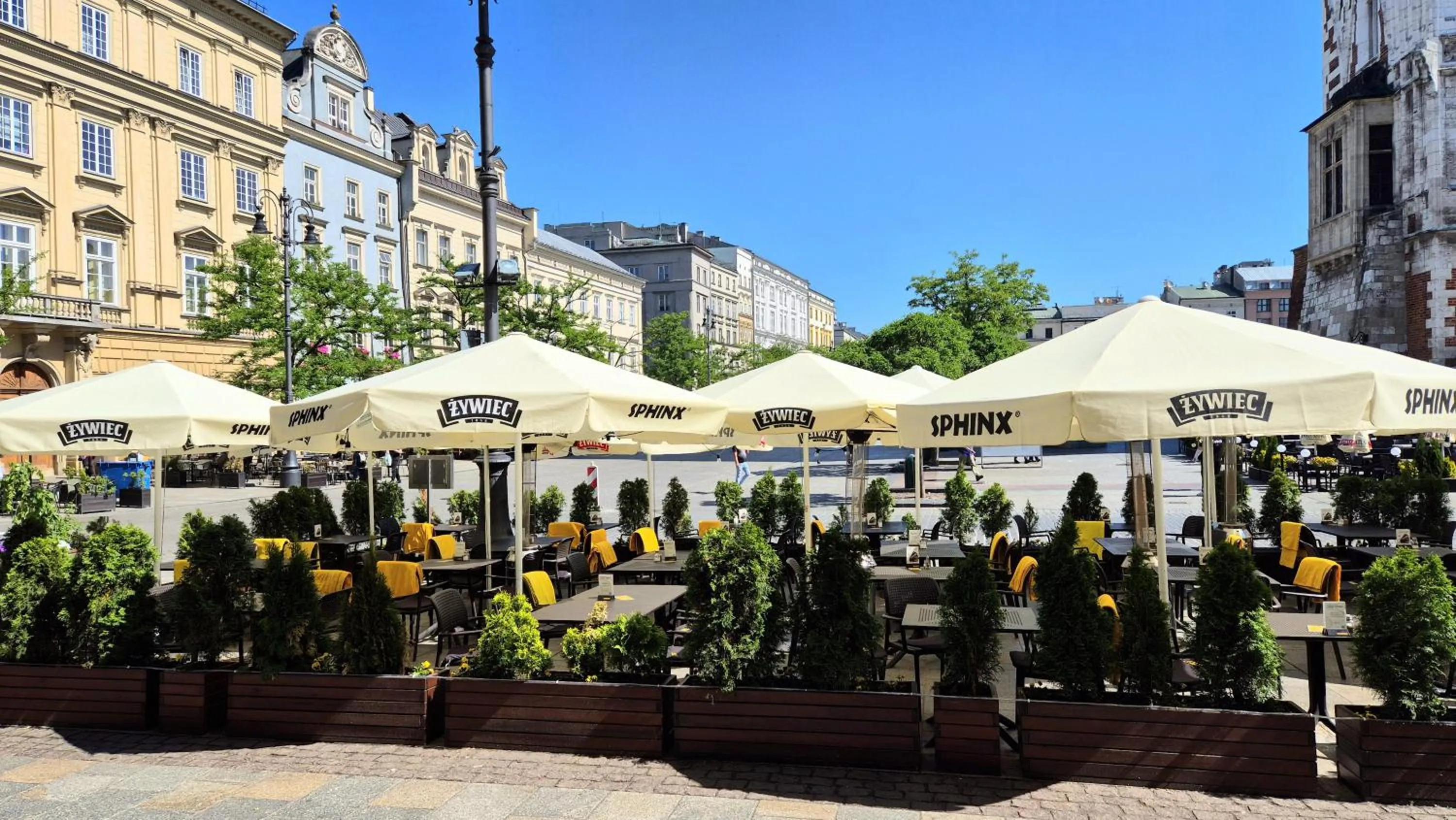 Restaurant/places to eat in Main Square Apartments