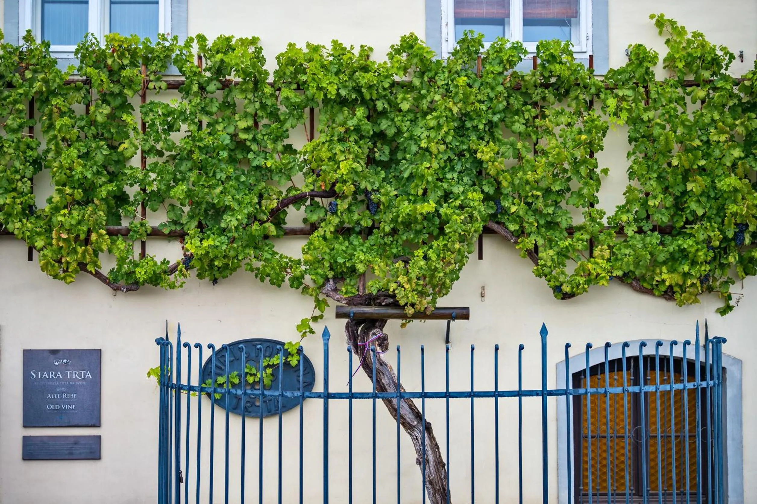 Natural landscape in Hotel Arena Maribor