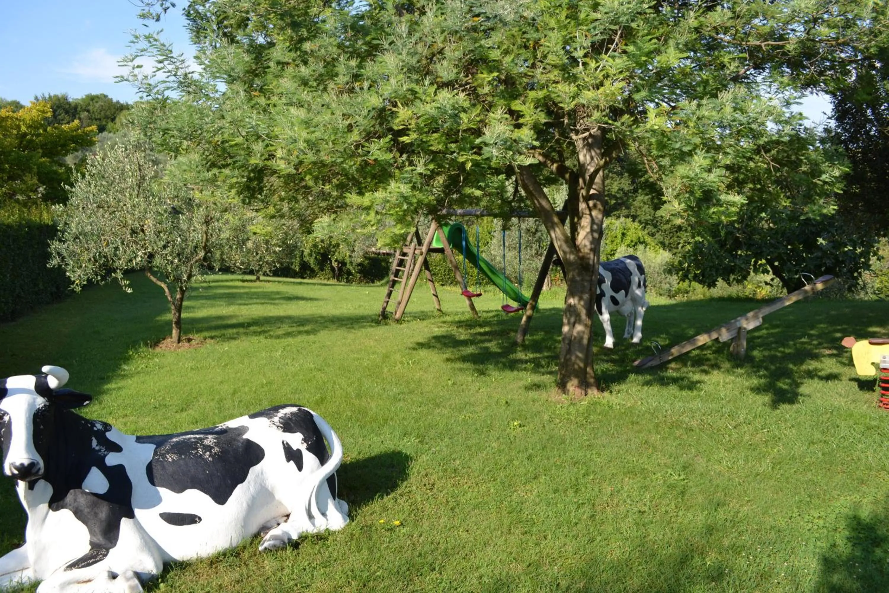 Garden in Borgo Di Collelungo