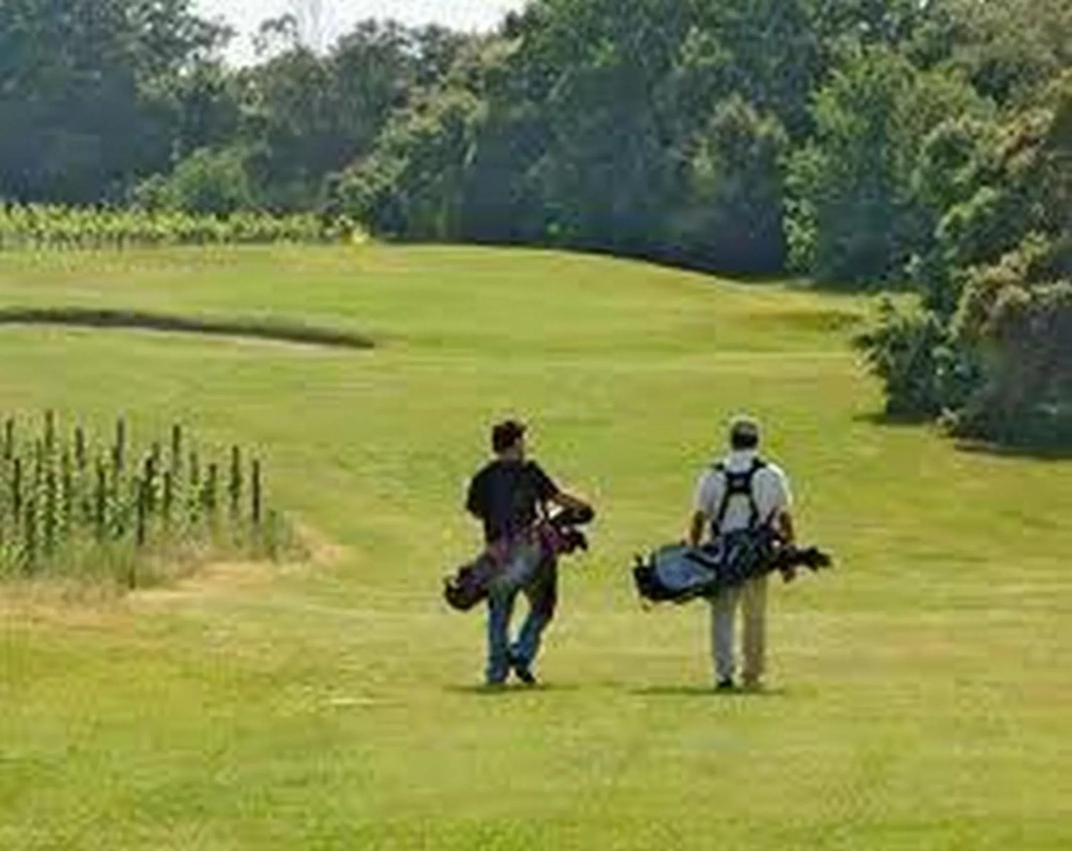 Activities in Hotel La Carruba