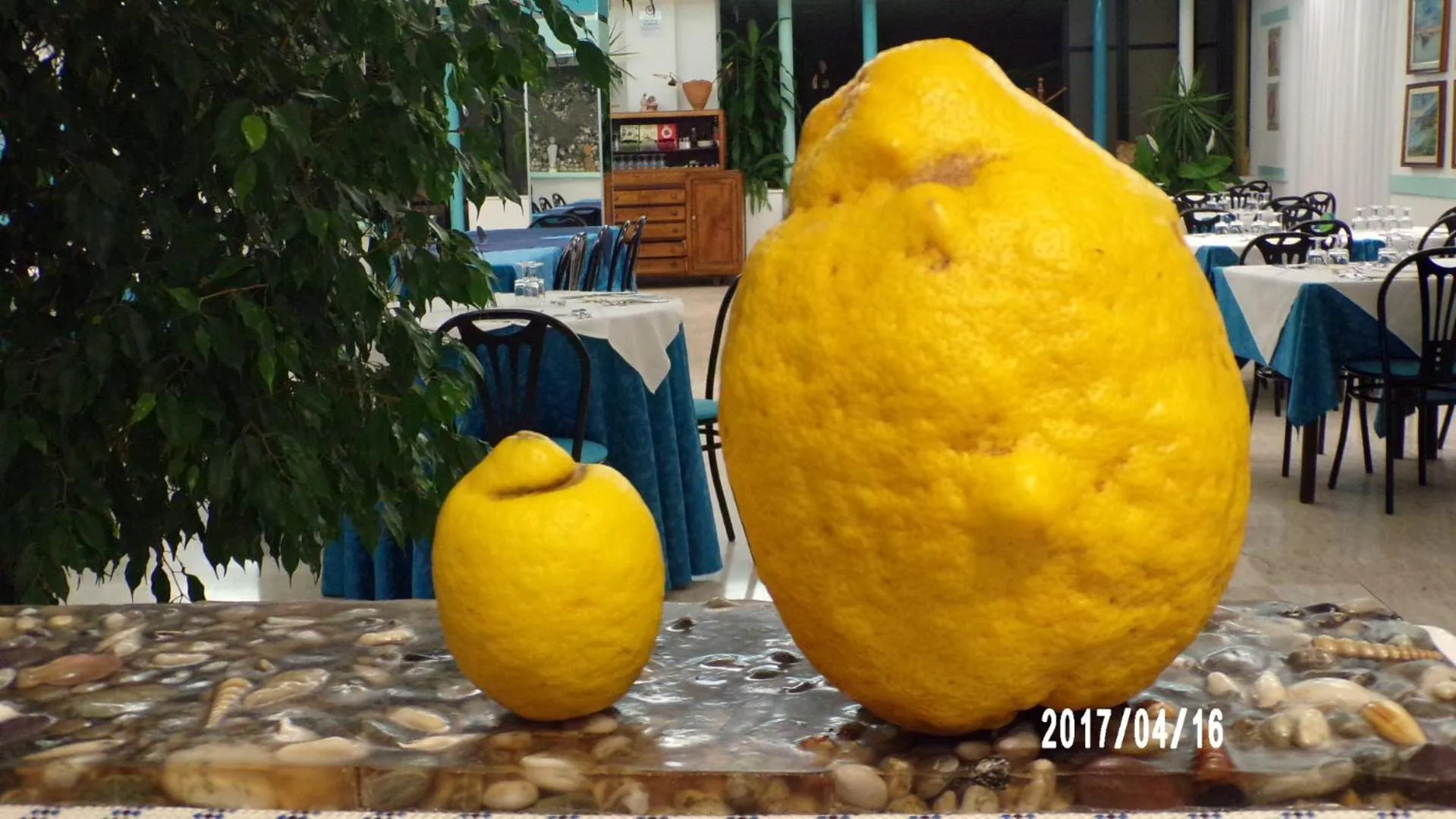 Food and drinks in Hotel La Carruba