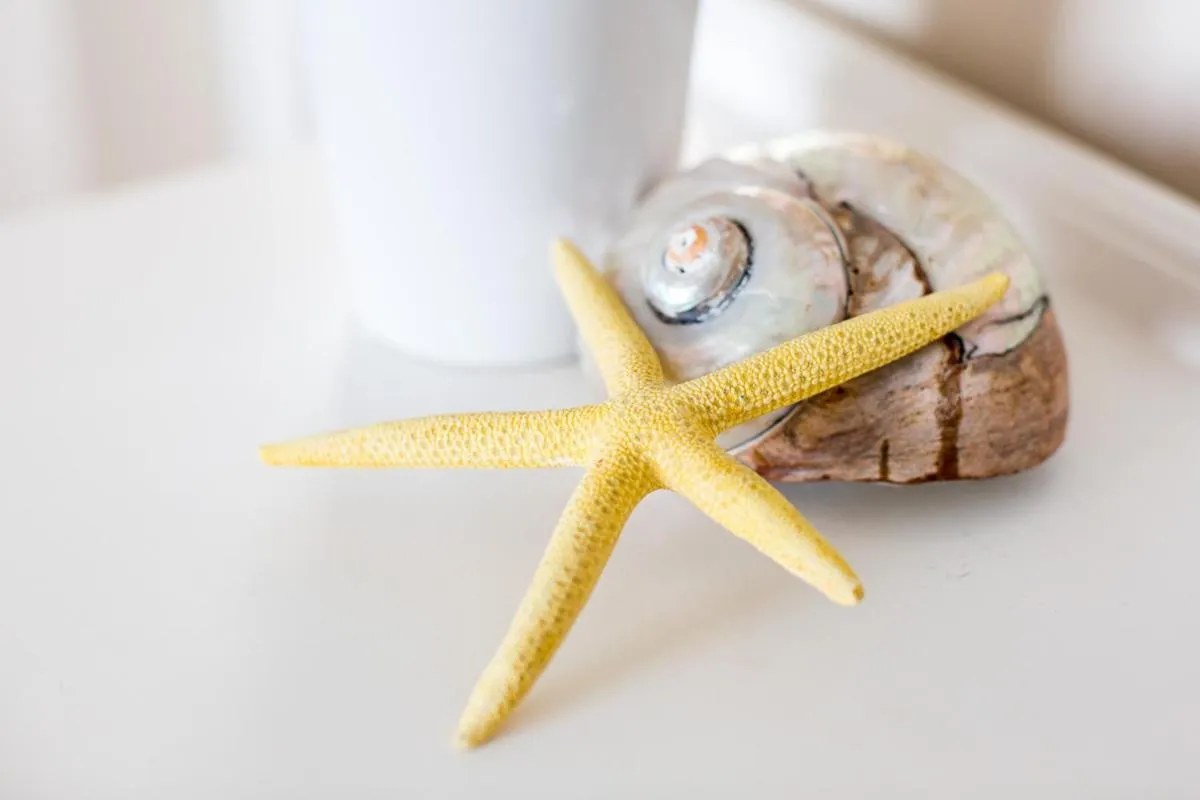 Bathroom in Anchor's Rest