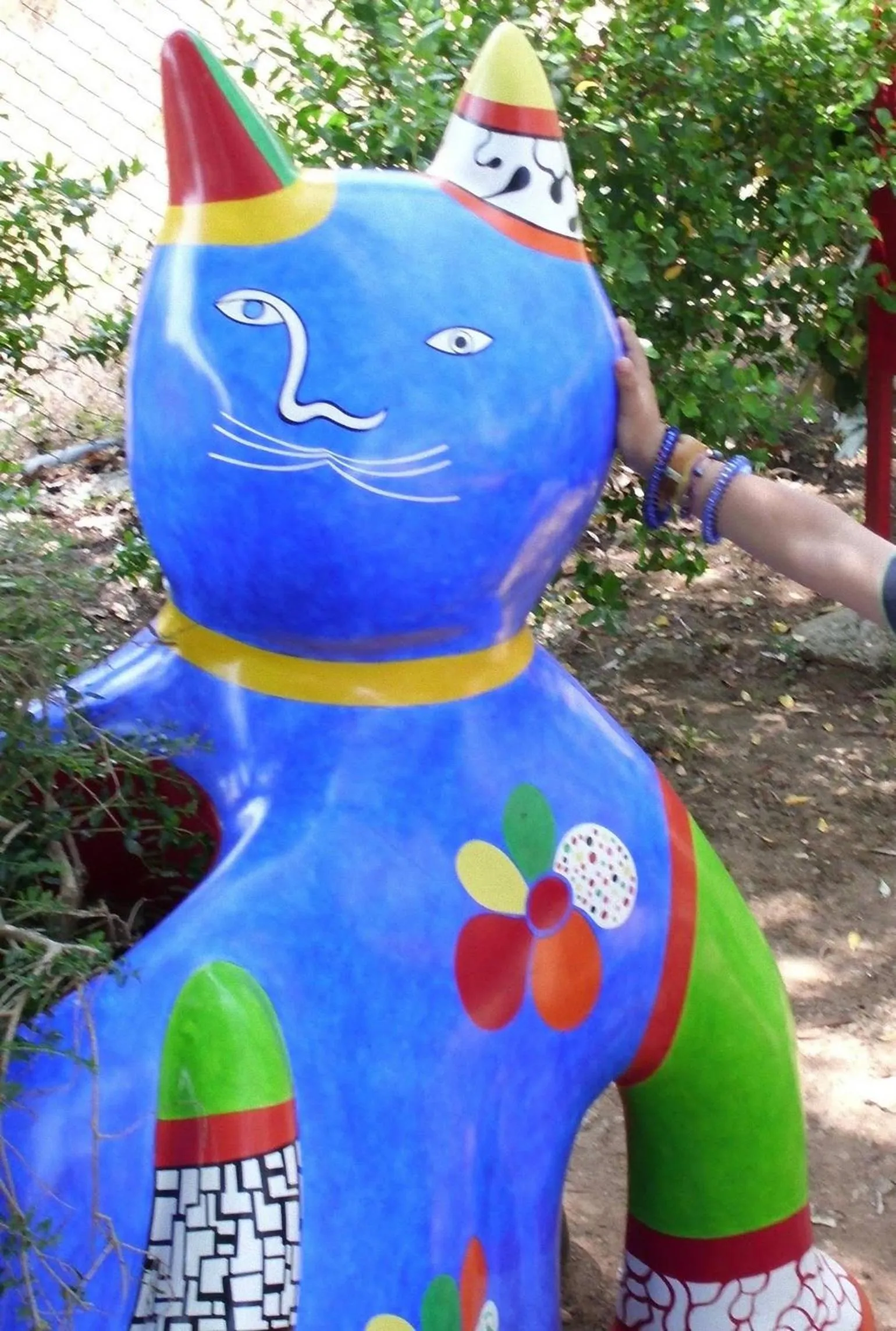 Area and facilities in Hotel La Torricella