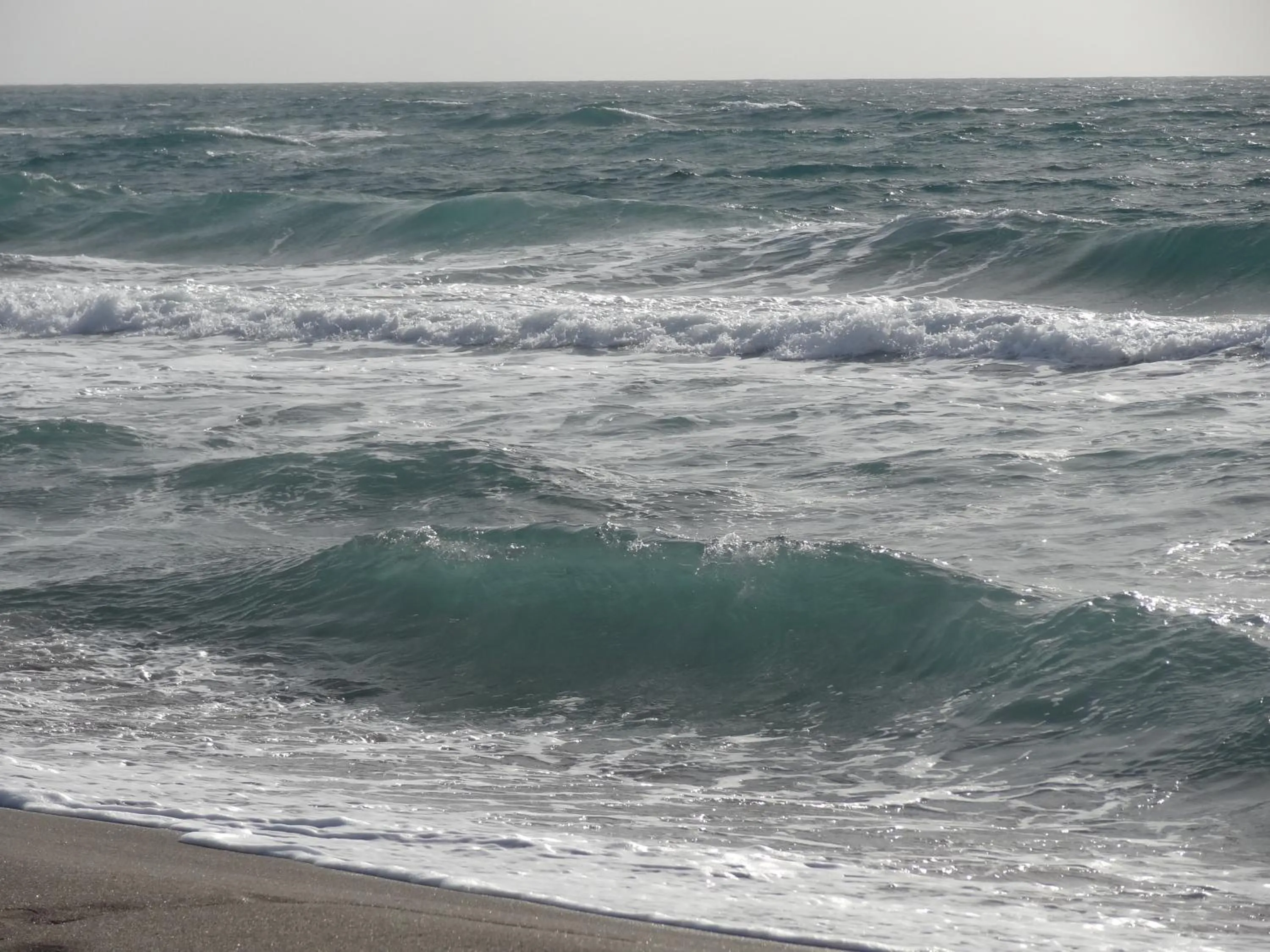 Area and facilities in Hotel La Torricella