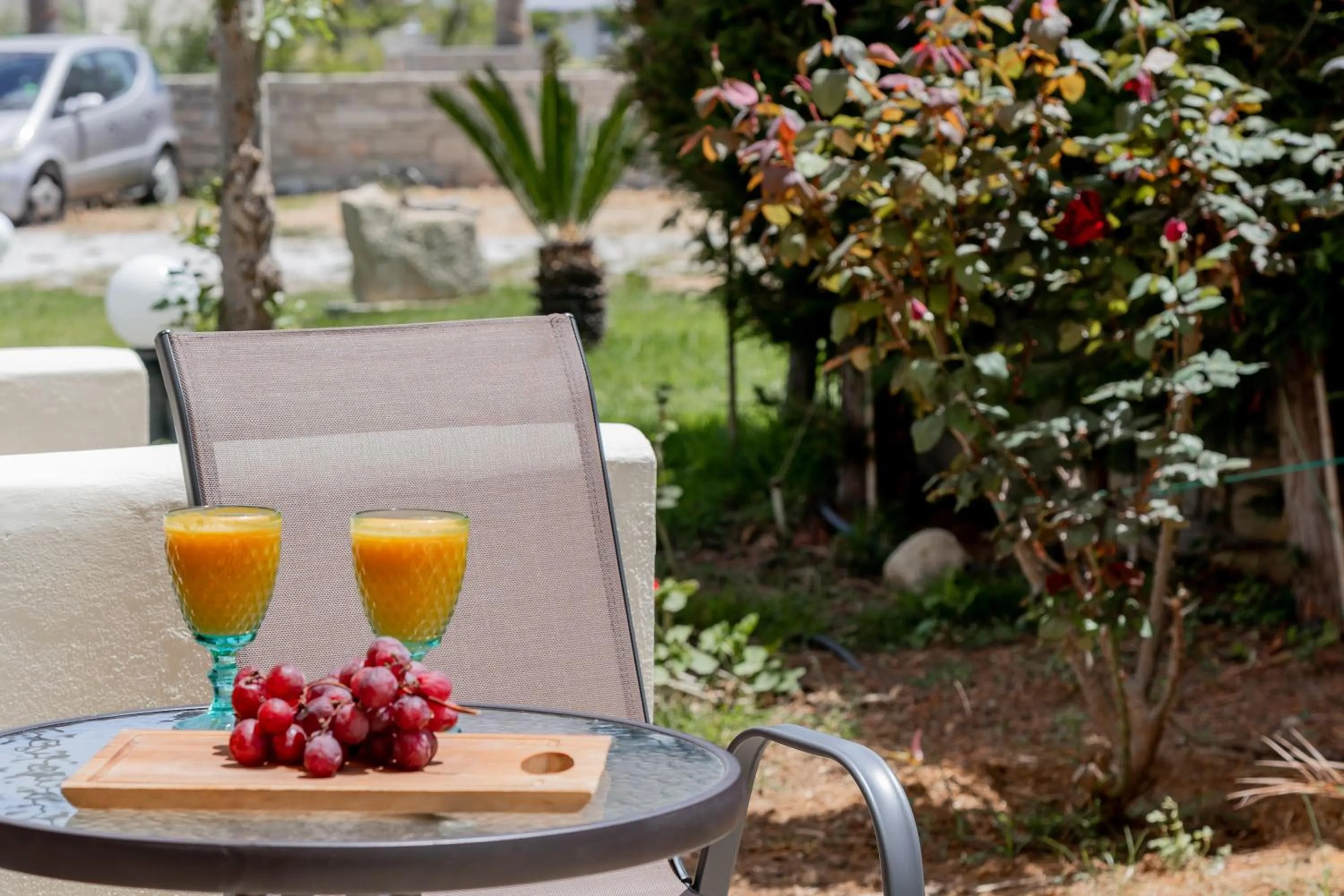Balcony/Terrace in Almyra Apartments & Suites