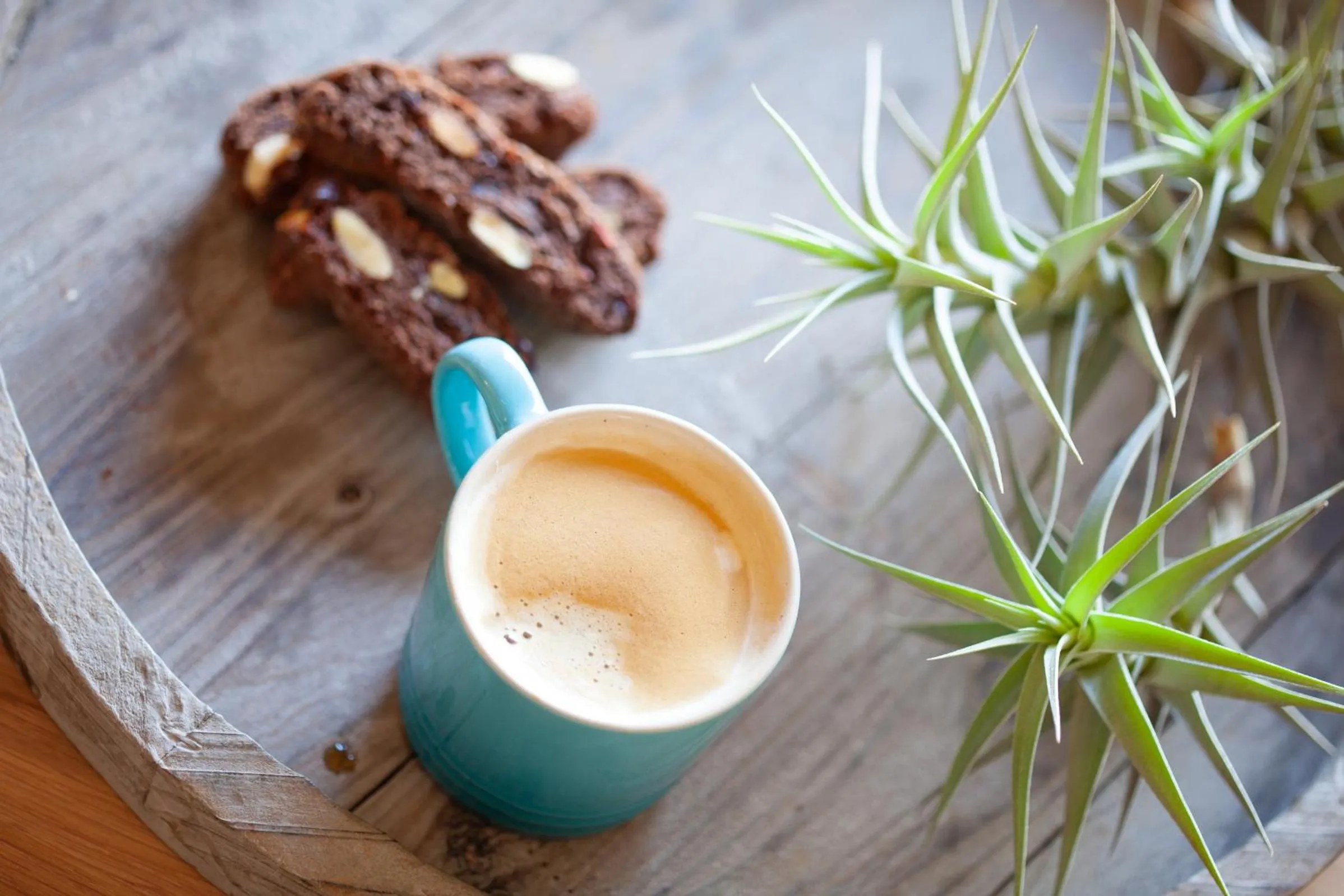 Coffee/tea facilities in Knysna Hollow Country Estate