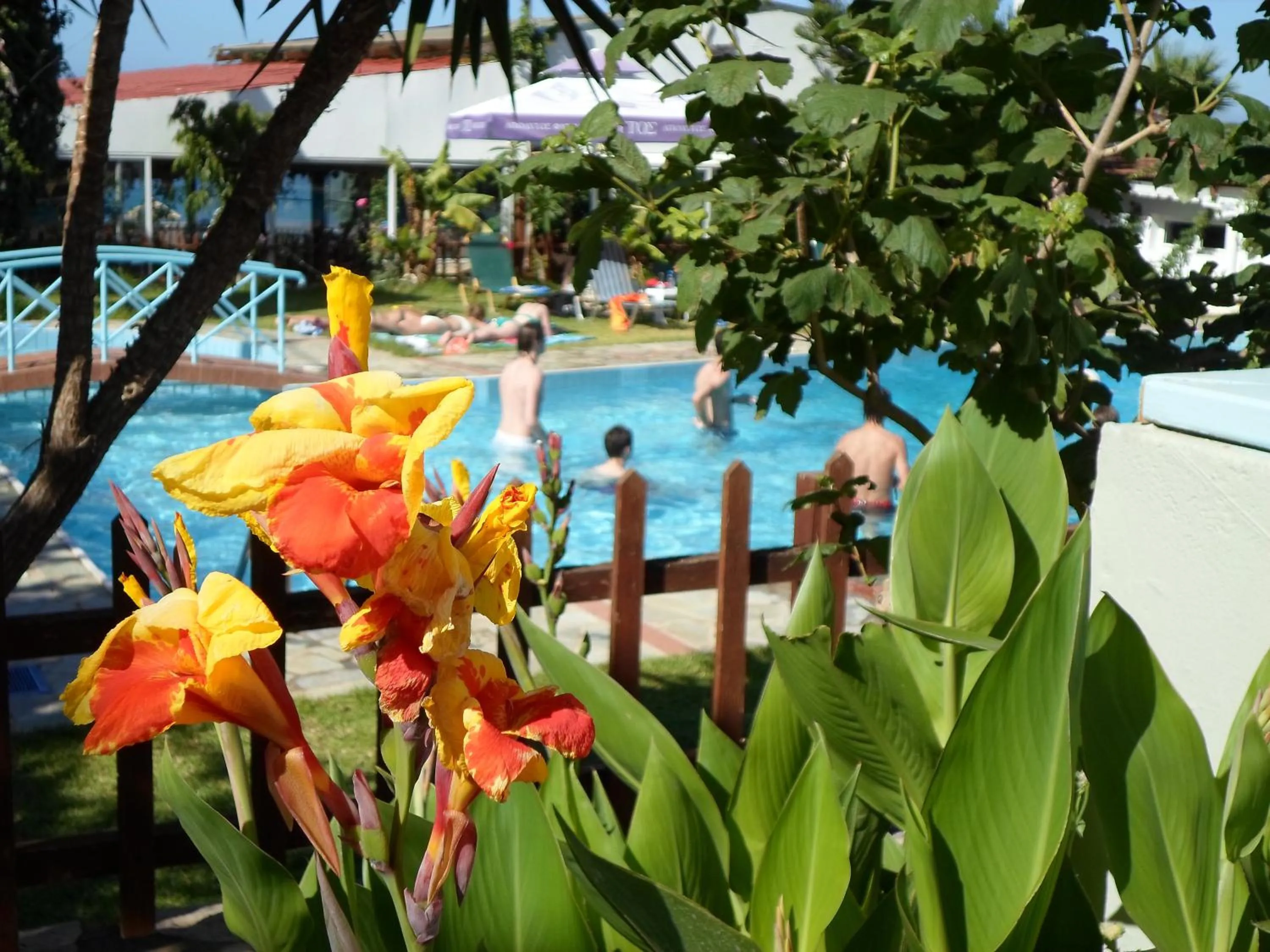 Swimming pool in Anatoli Apartments