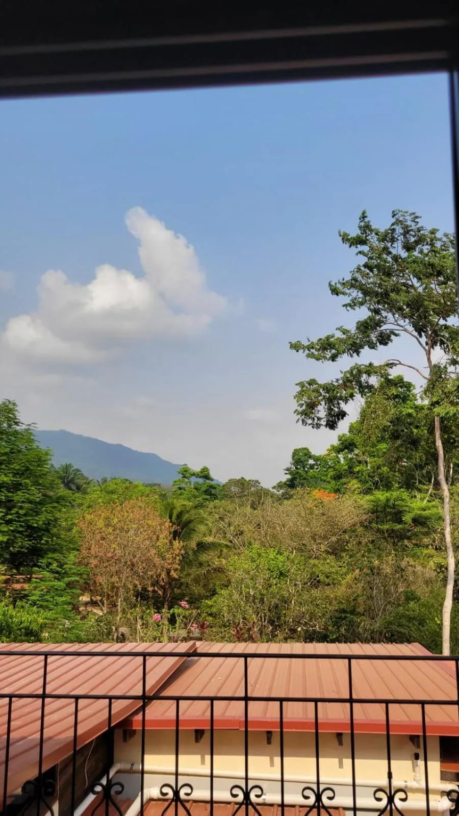 View (from property/room) in Sattva Land