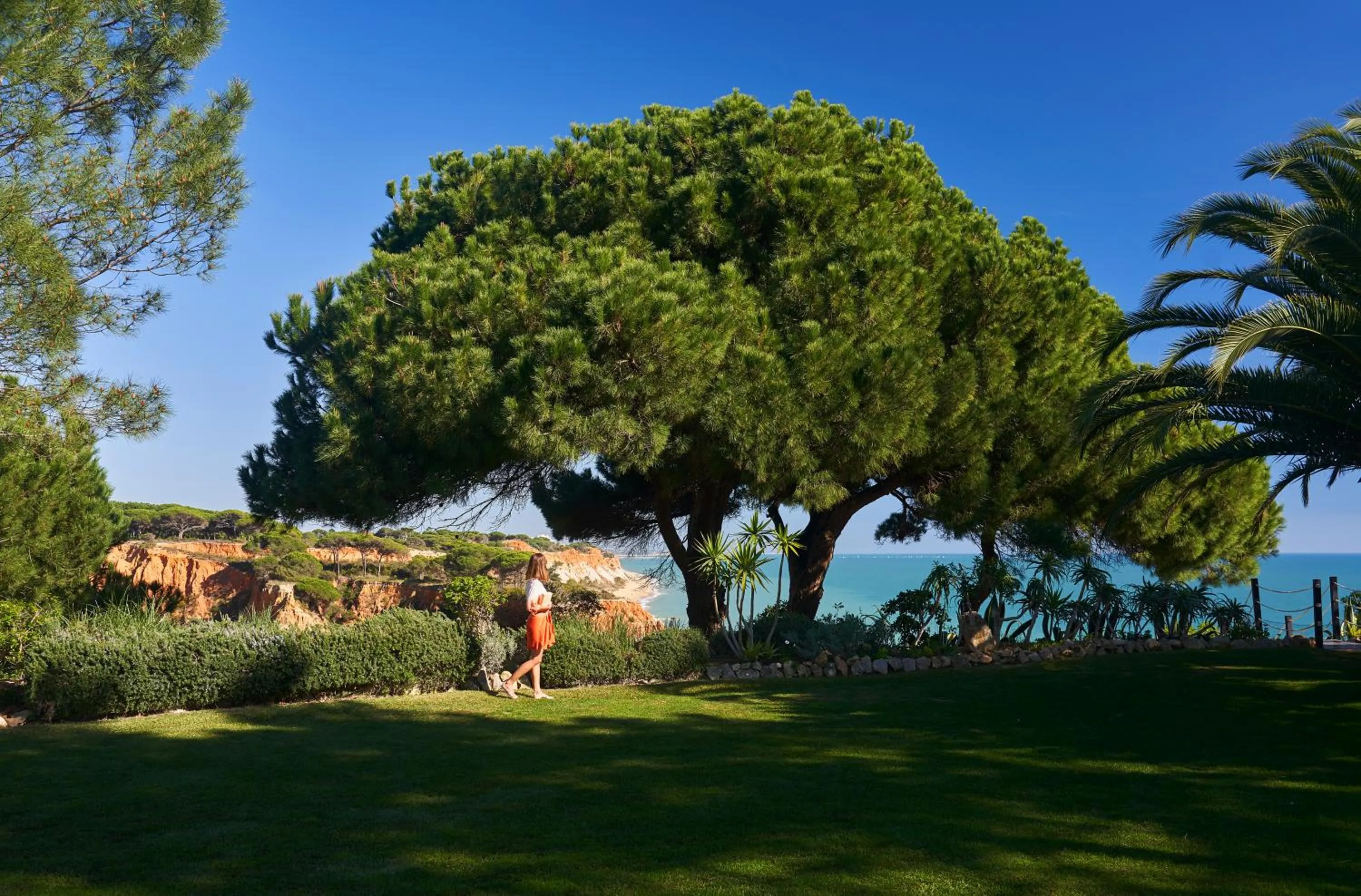 Garden in PortoBay Falesia