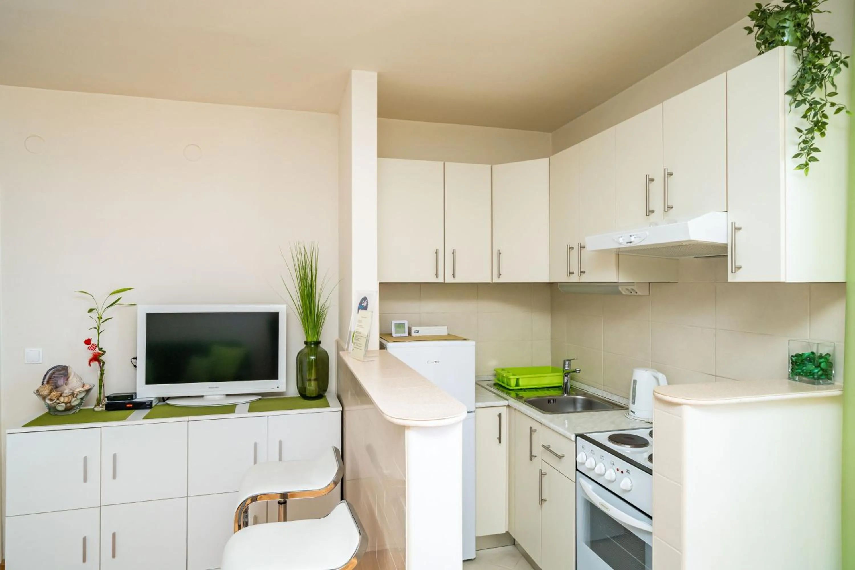 Kitchen or kitchenette in Apartment Bakus