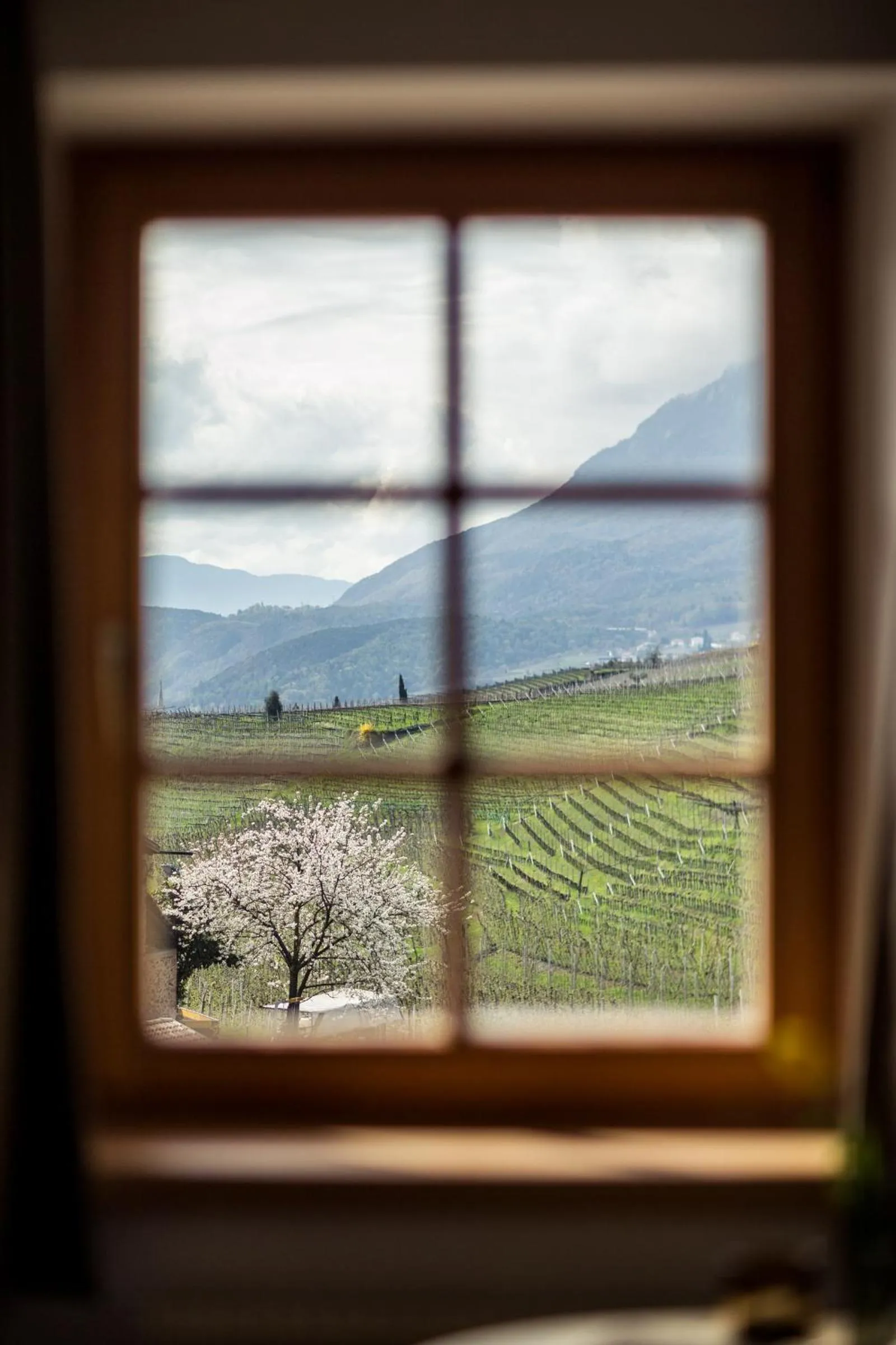 Garden view in Hotel Masatsch