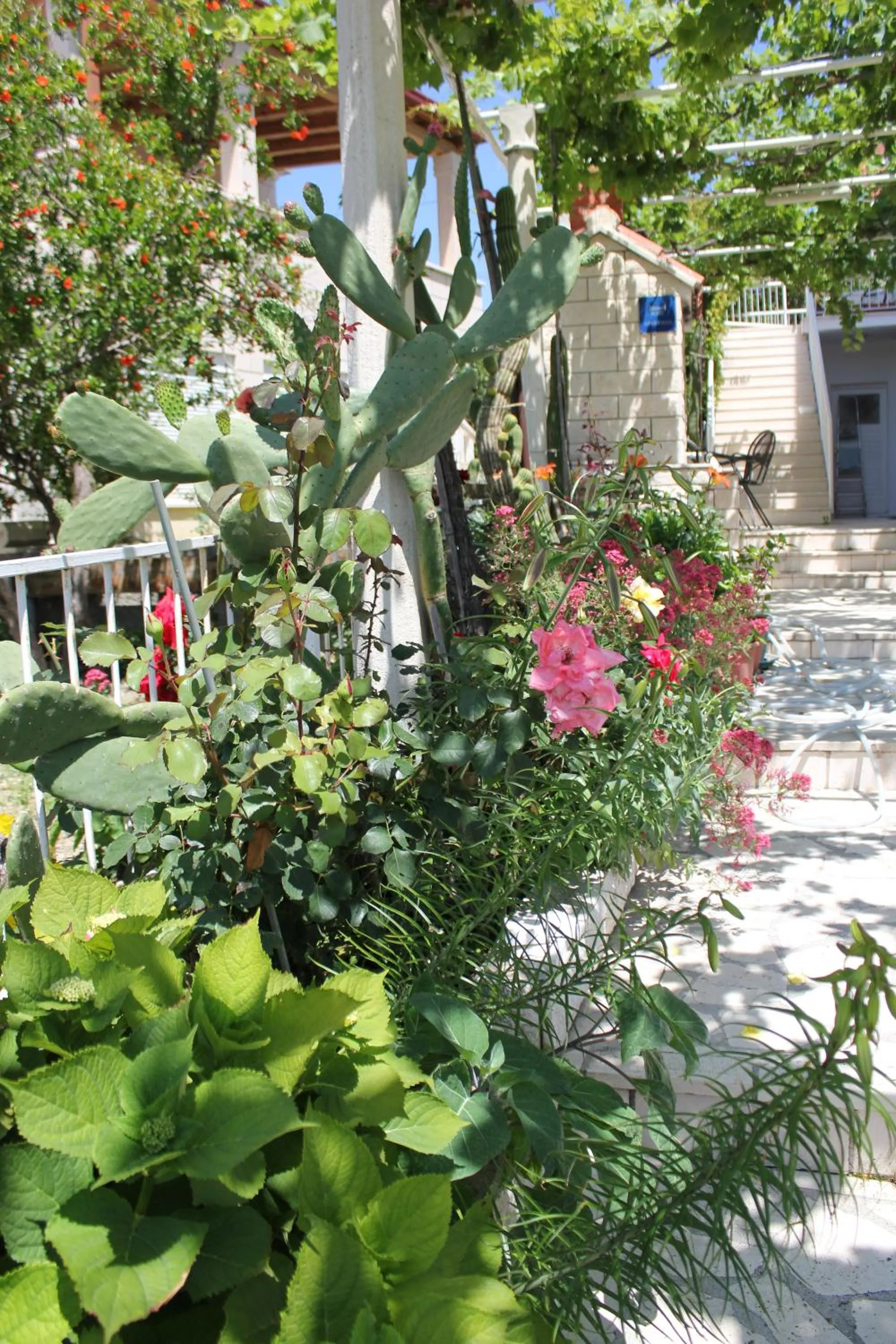 Garden in Villa Ive