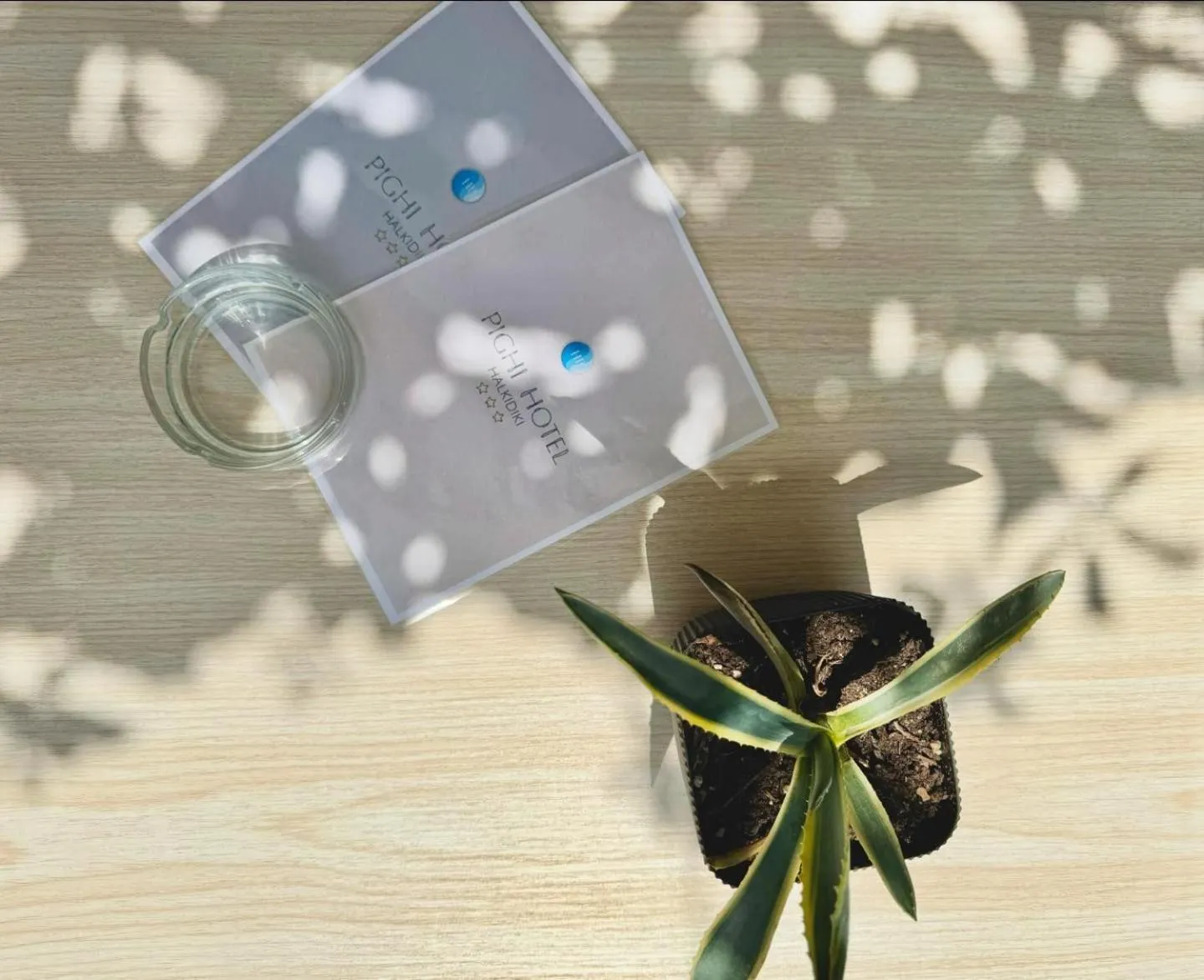 Lounge or bar in Hotel Pighi