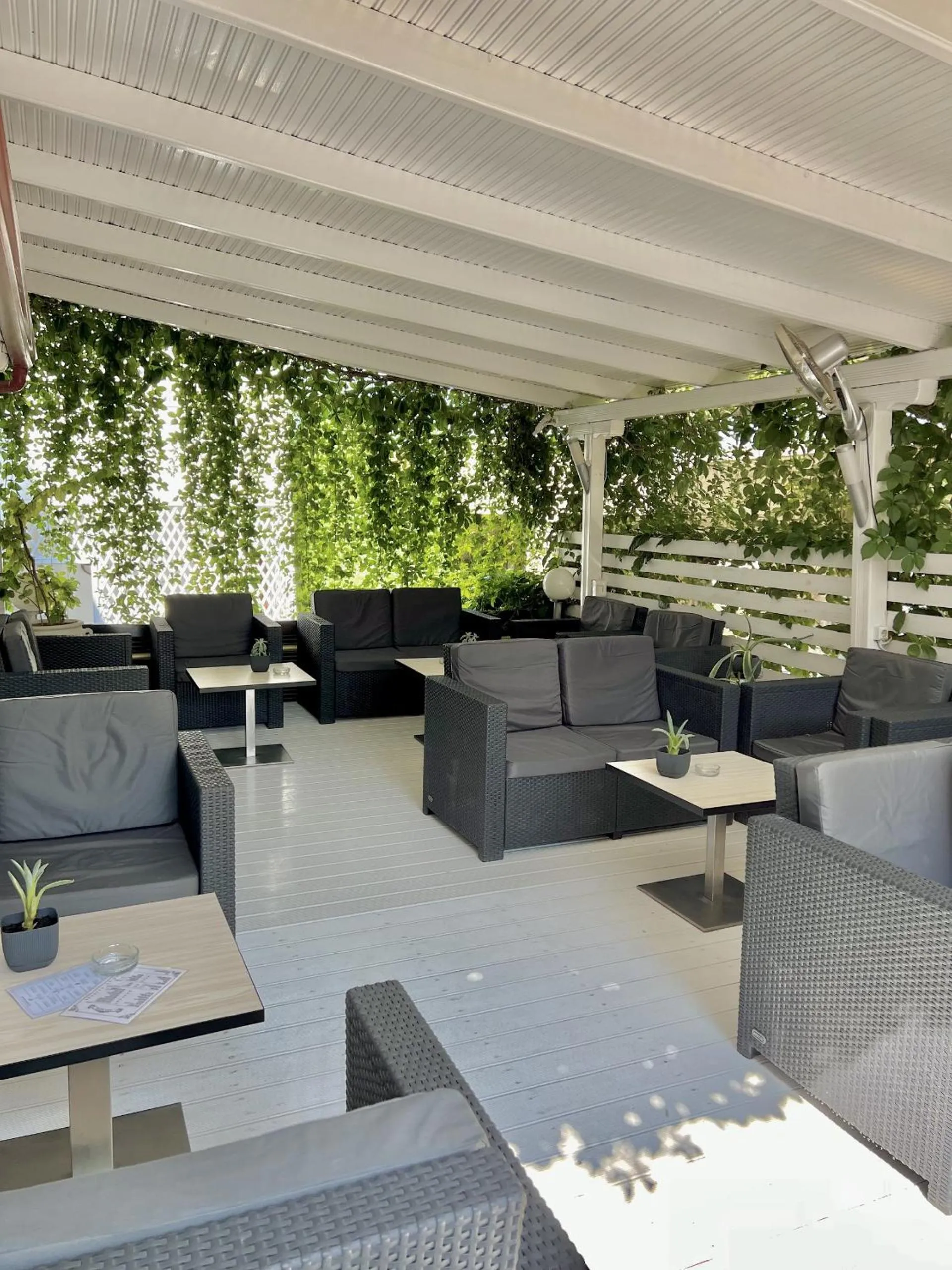 Lounge or bar in Hotel Pighi