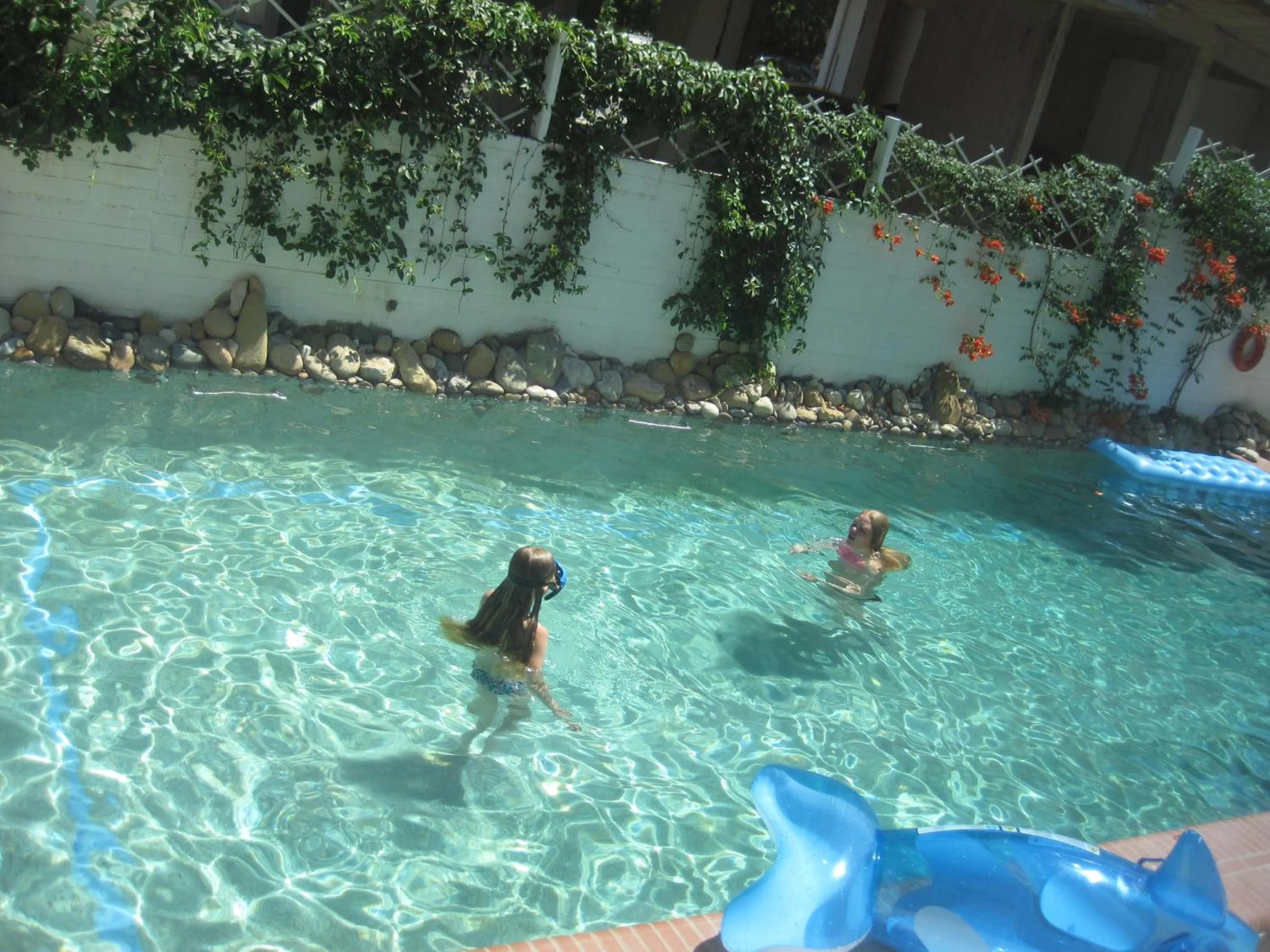 Swimming pool in Hotel Pighi