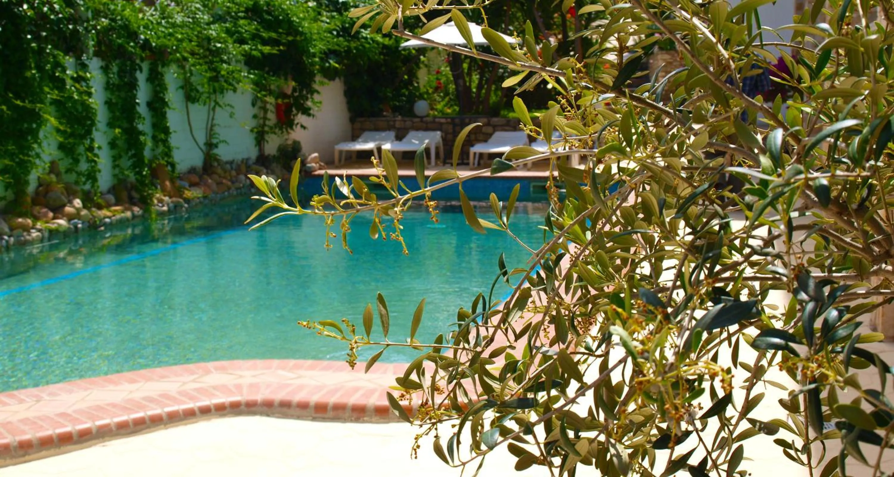 Swimming pool in Hotel Pighi