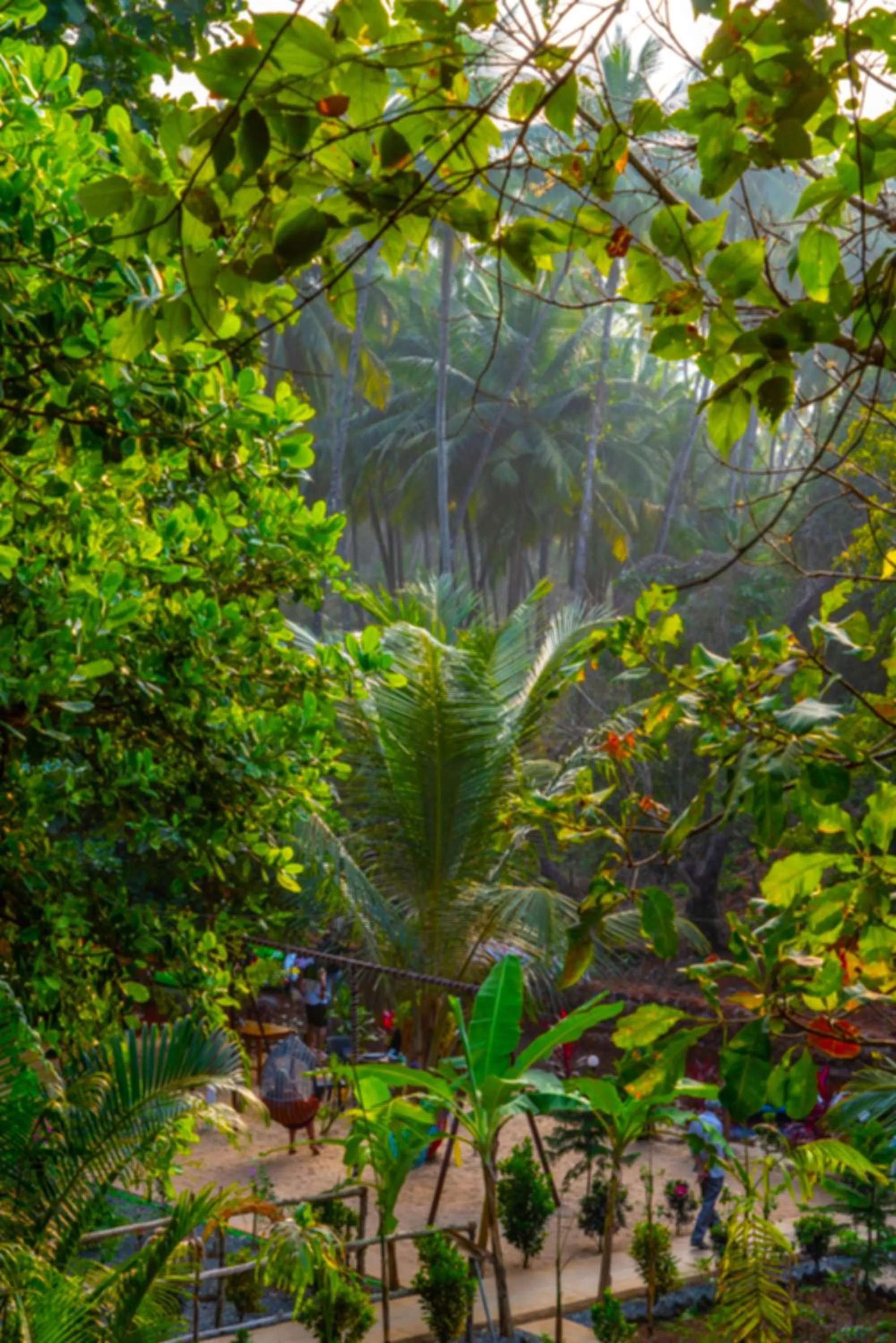 View (from property/room) in Samyama Retreat