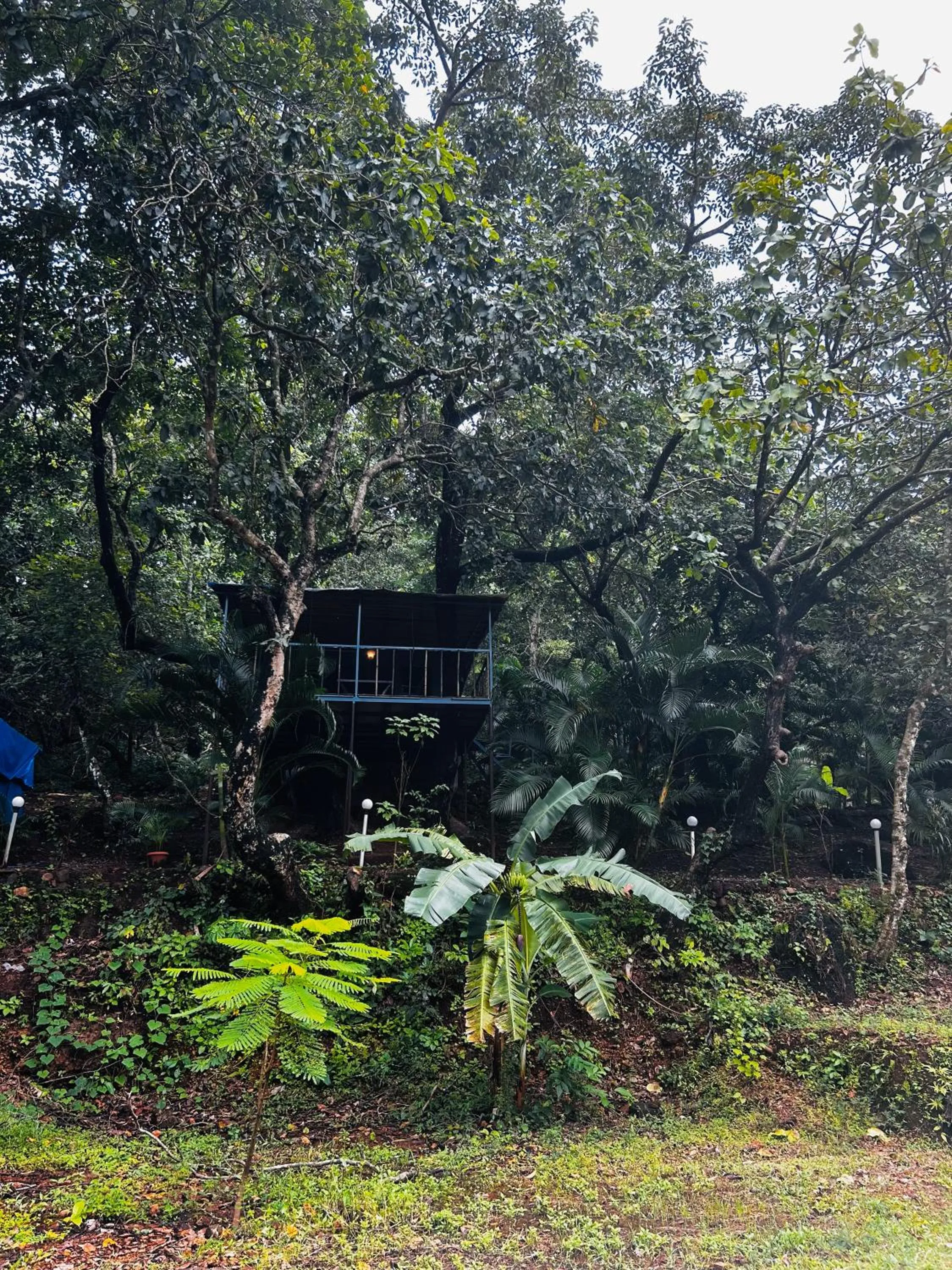 Property building in Samyama Retreat