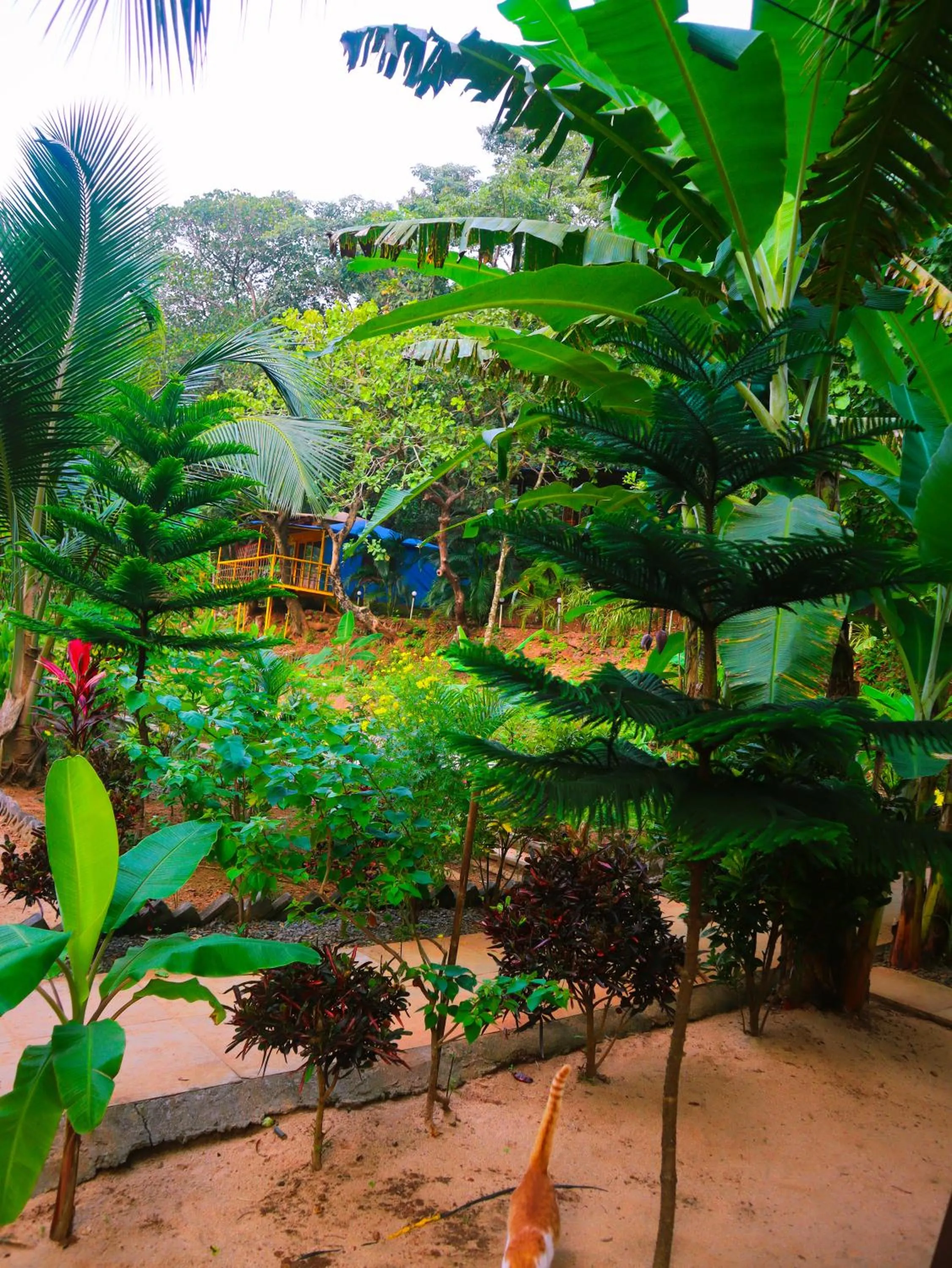 Natural landscape in Samyama Retreat