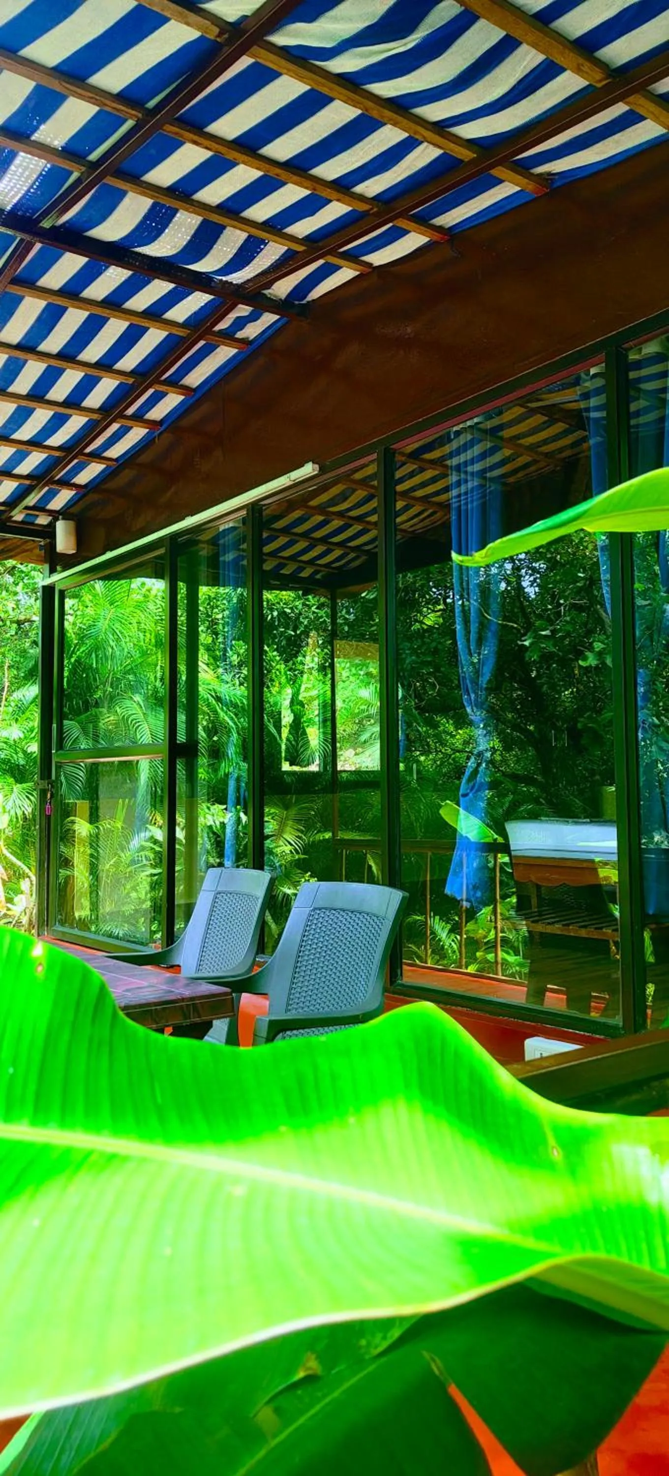 View (from property/room) in Samyama Retreat