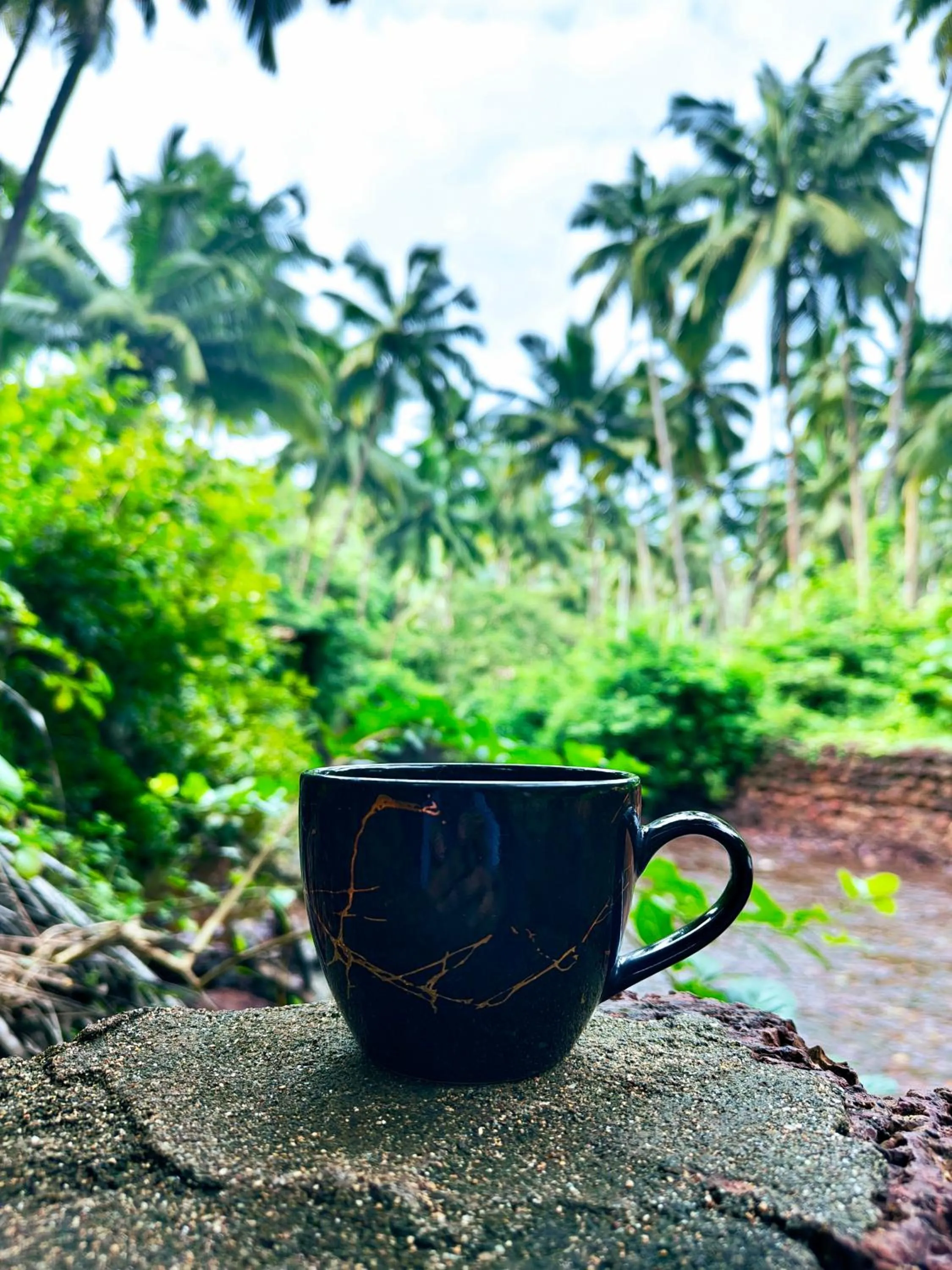 View (from property/room) in Samyama Retreat