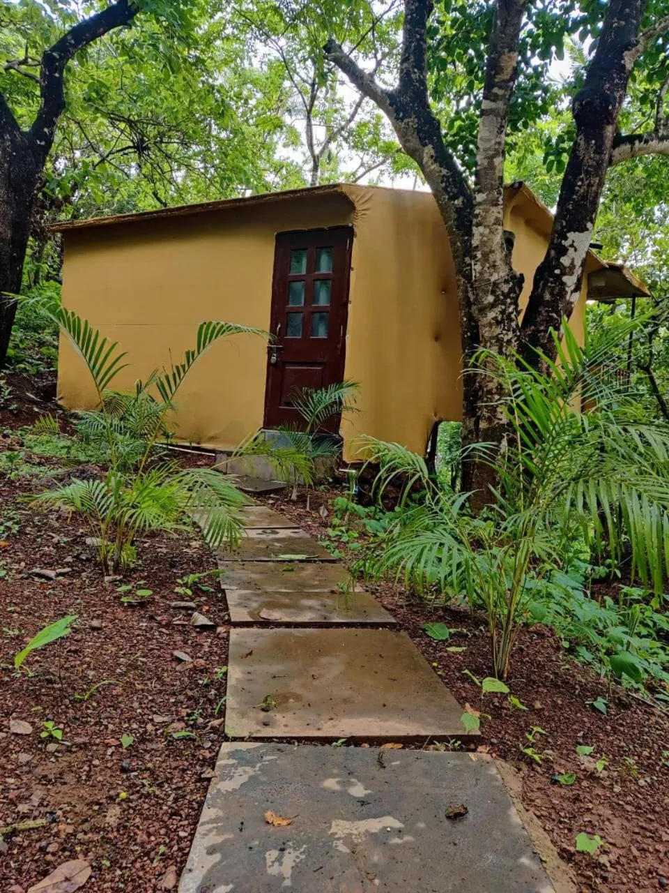 Day in Samyama Retreat