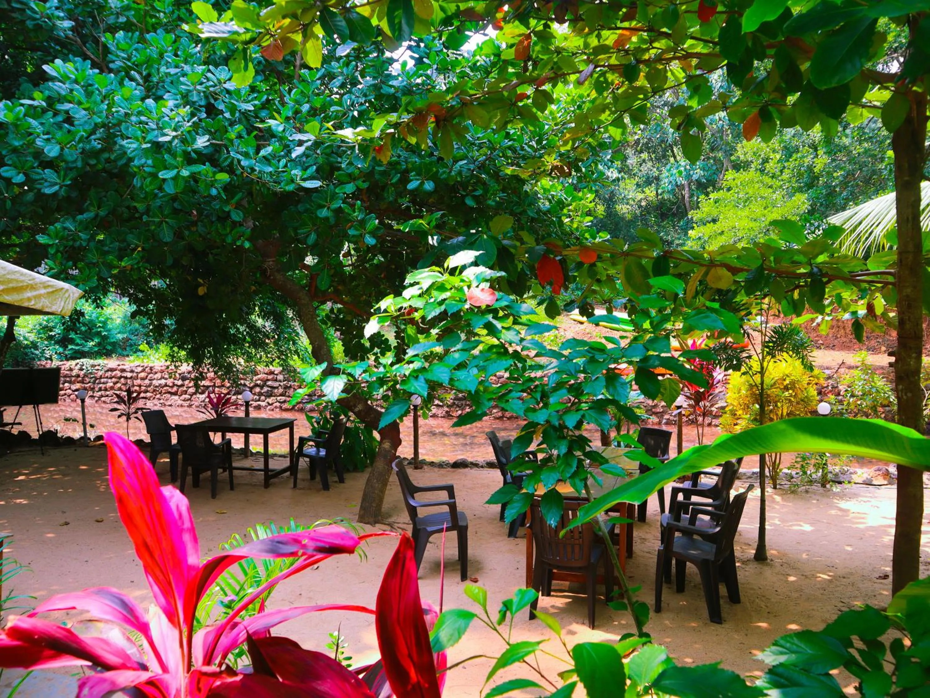 Restaurant/places to eat in Samyama Retreat