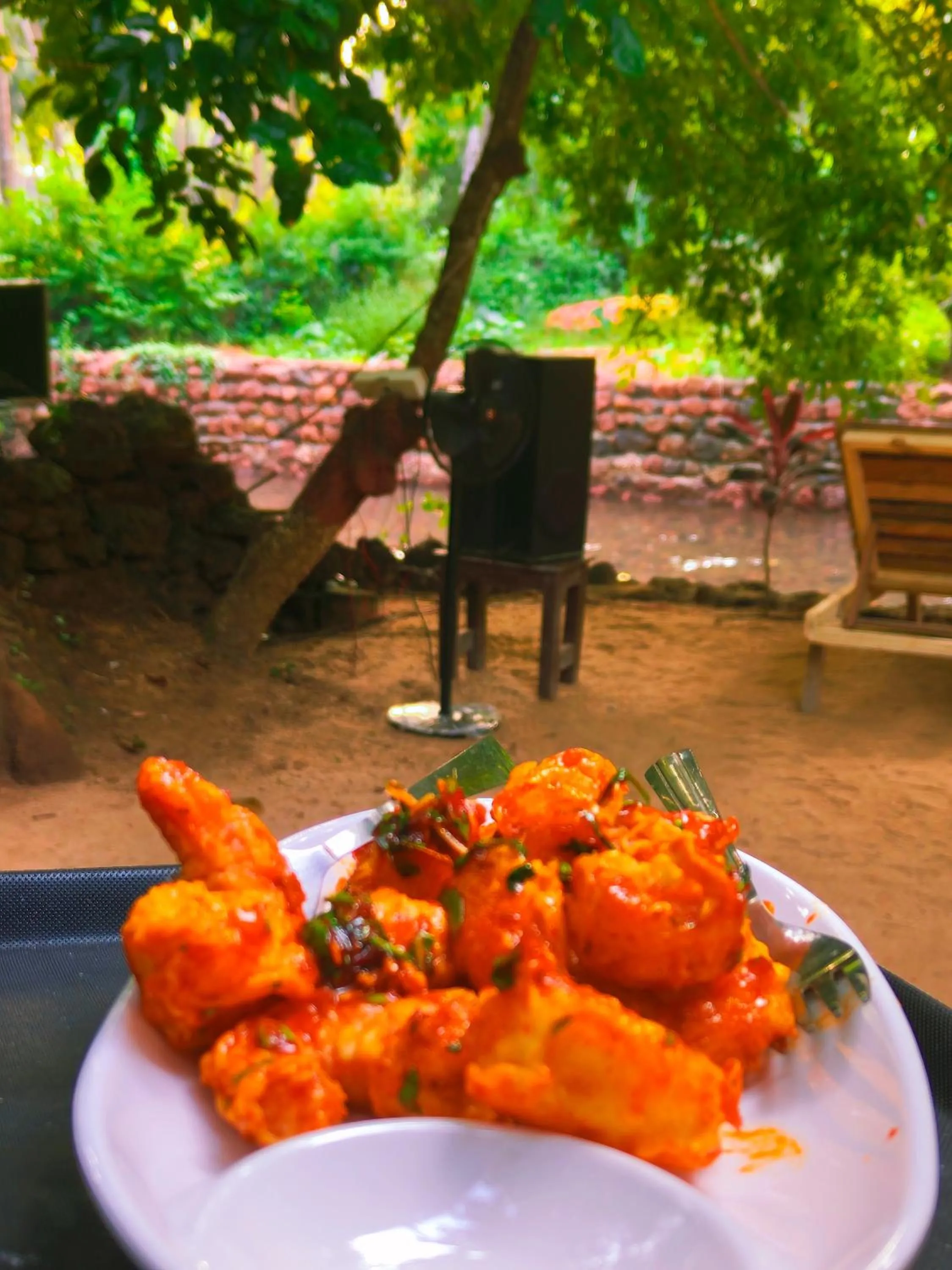 Day in Samyama Retreat