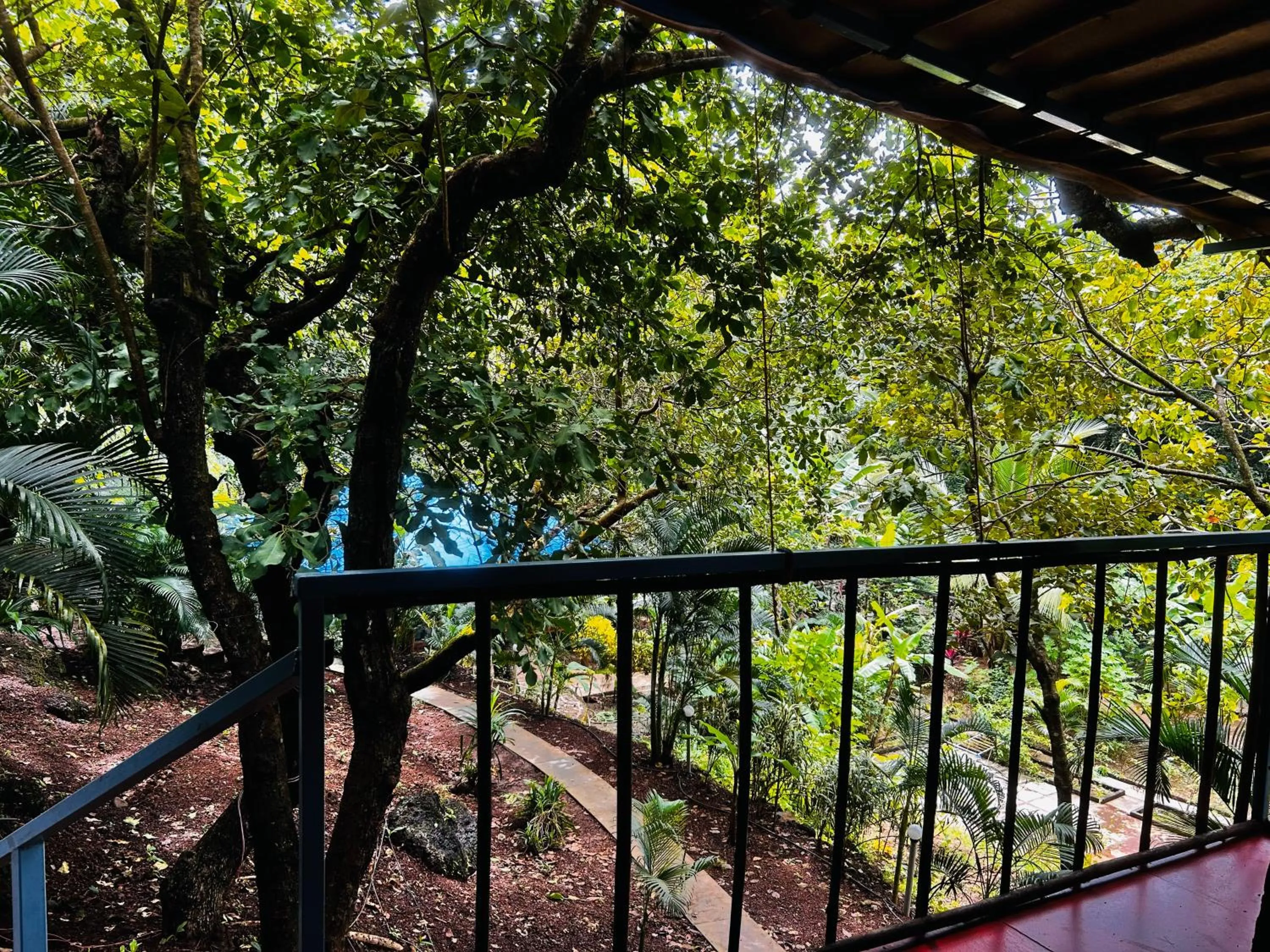 Balcony/Terrace in Samyama Retreat