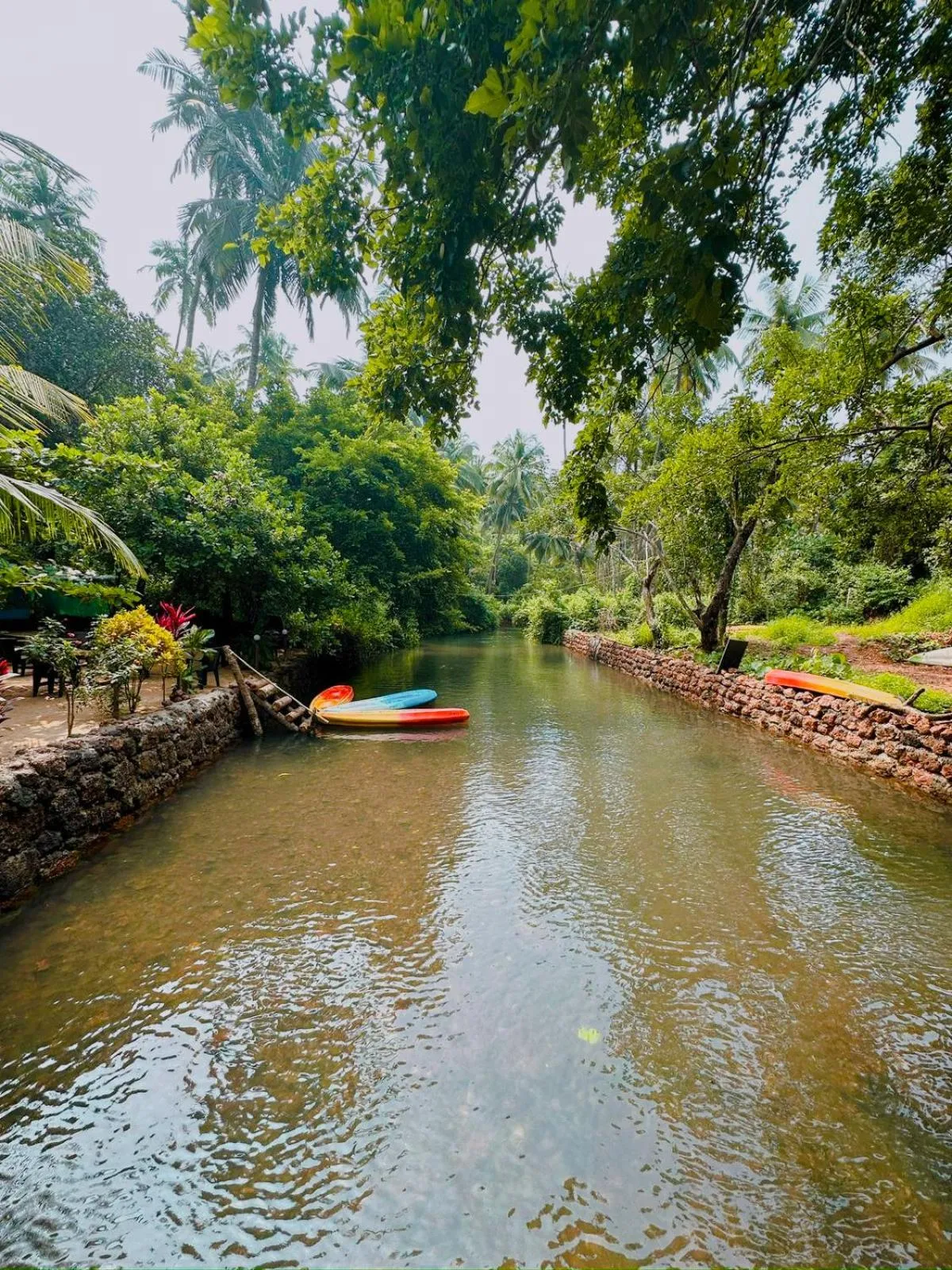 Day in Samyama Retreat