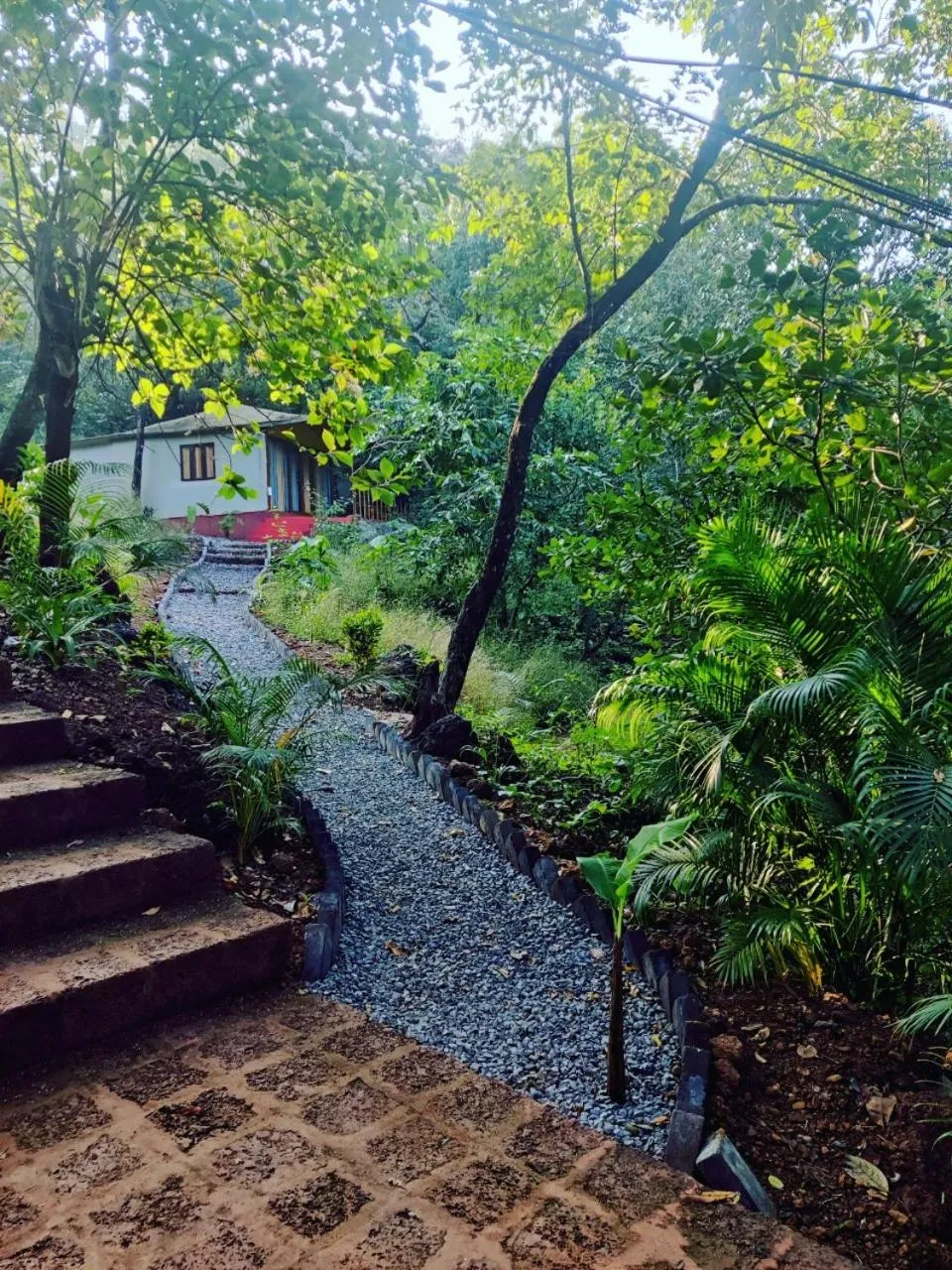 Day in Samyama Retreat